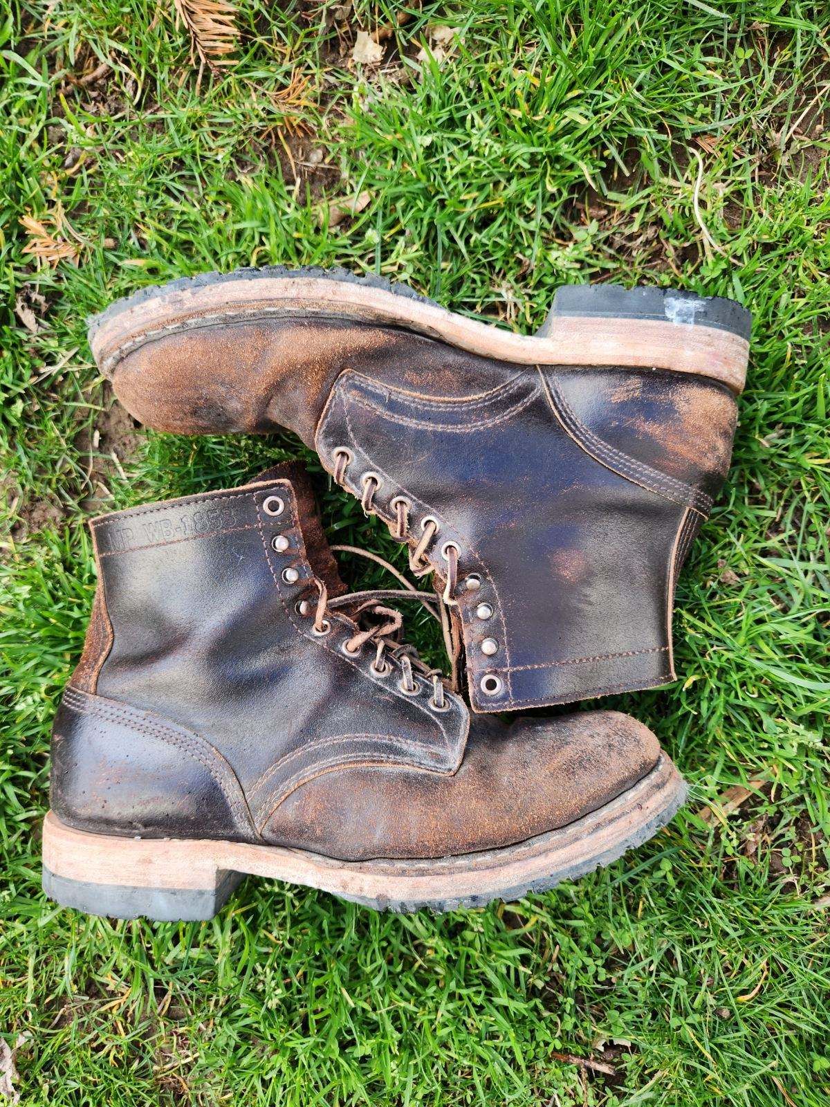 Photo by wildflowersnboots on March 5, 2025 of the White's MP 55 in Horween Dark Brown Waxed Flesh.