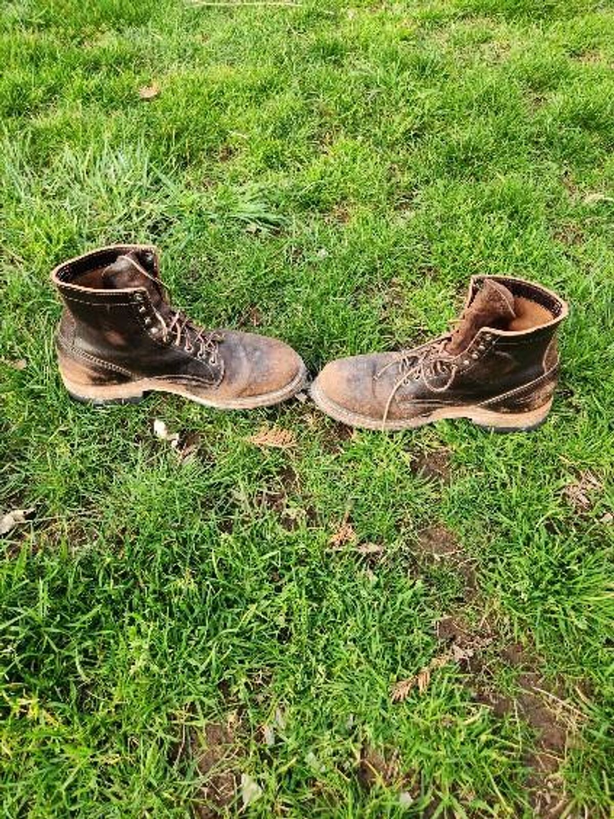Photo by wildflowersnboots on March 5, 2025 of the White's MP 55 in Horween Dark Brown Waxed Flesh.
