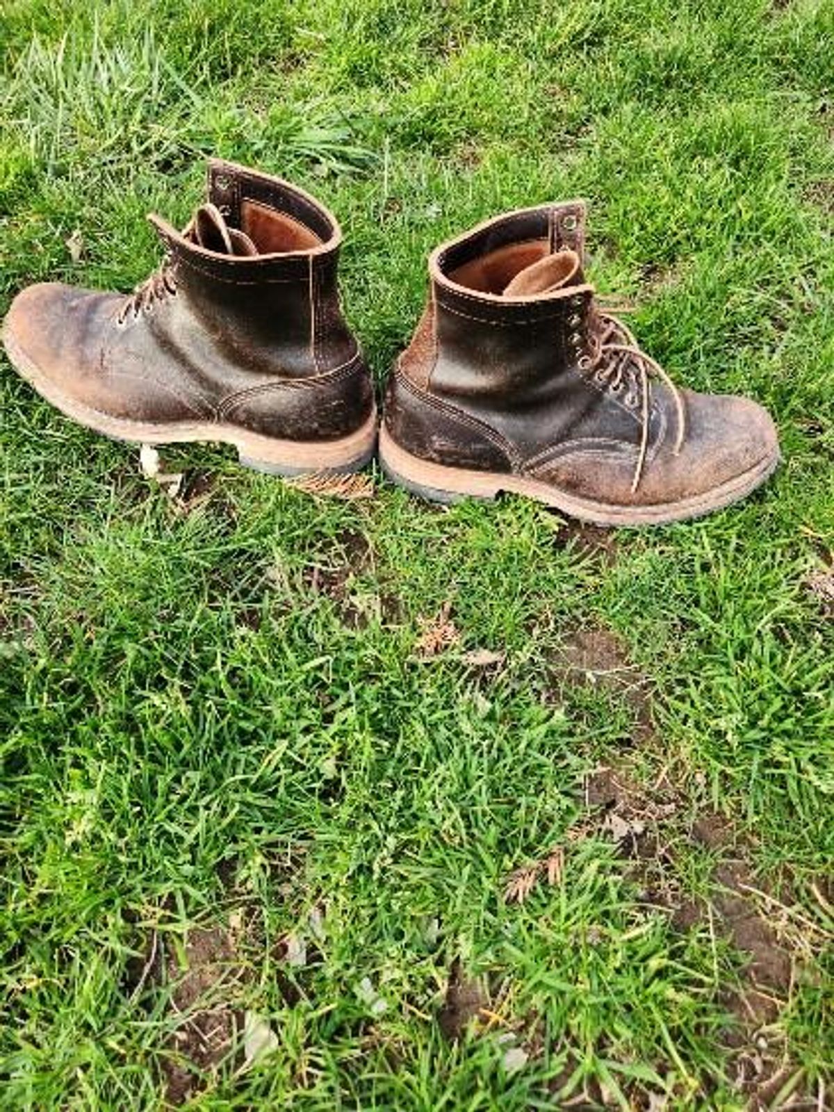 Photo by wildflowersnboots on March 5, 2025 of the White's MP 55 in Horween Dark Brown Waxed Flesh.
