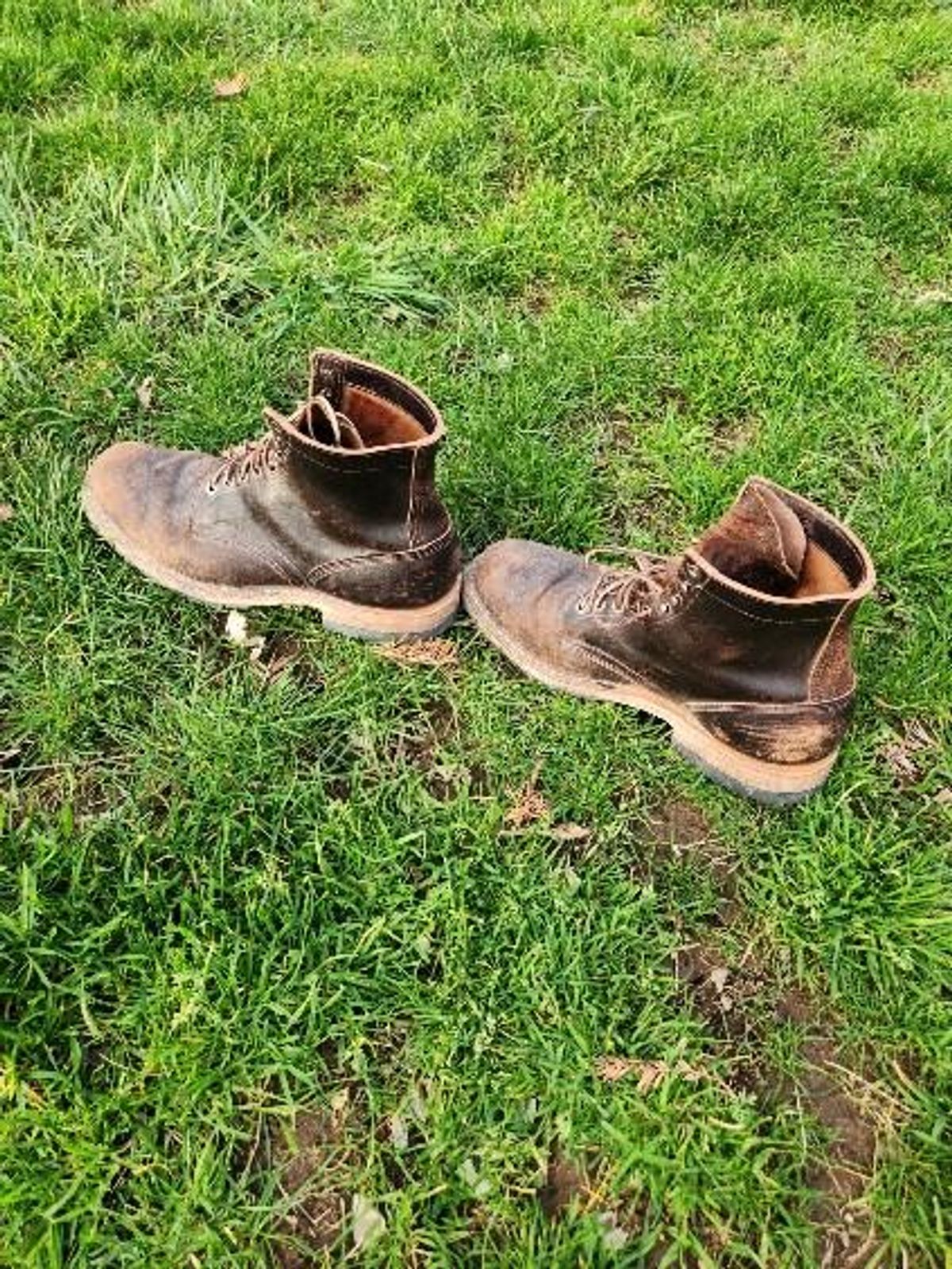 Photo by wildflowersnboots on March 5, 2025 of the White's MP 55 in Horween Dark Brown Waxed Flesh.