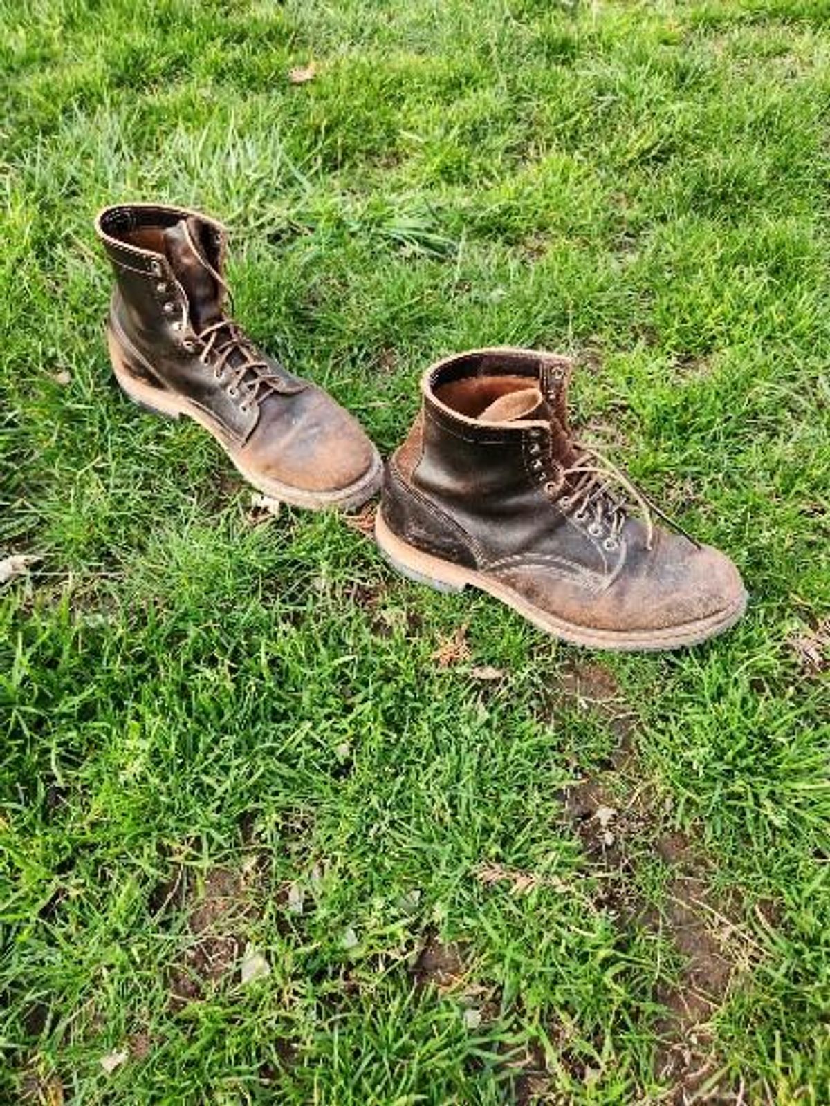 Photo by wildflowersnboots on March 5, 2025 of the White's MP 55 in Horween Dark Brown Waxed Flesh.