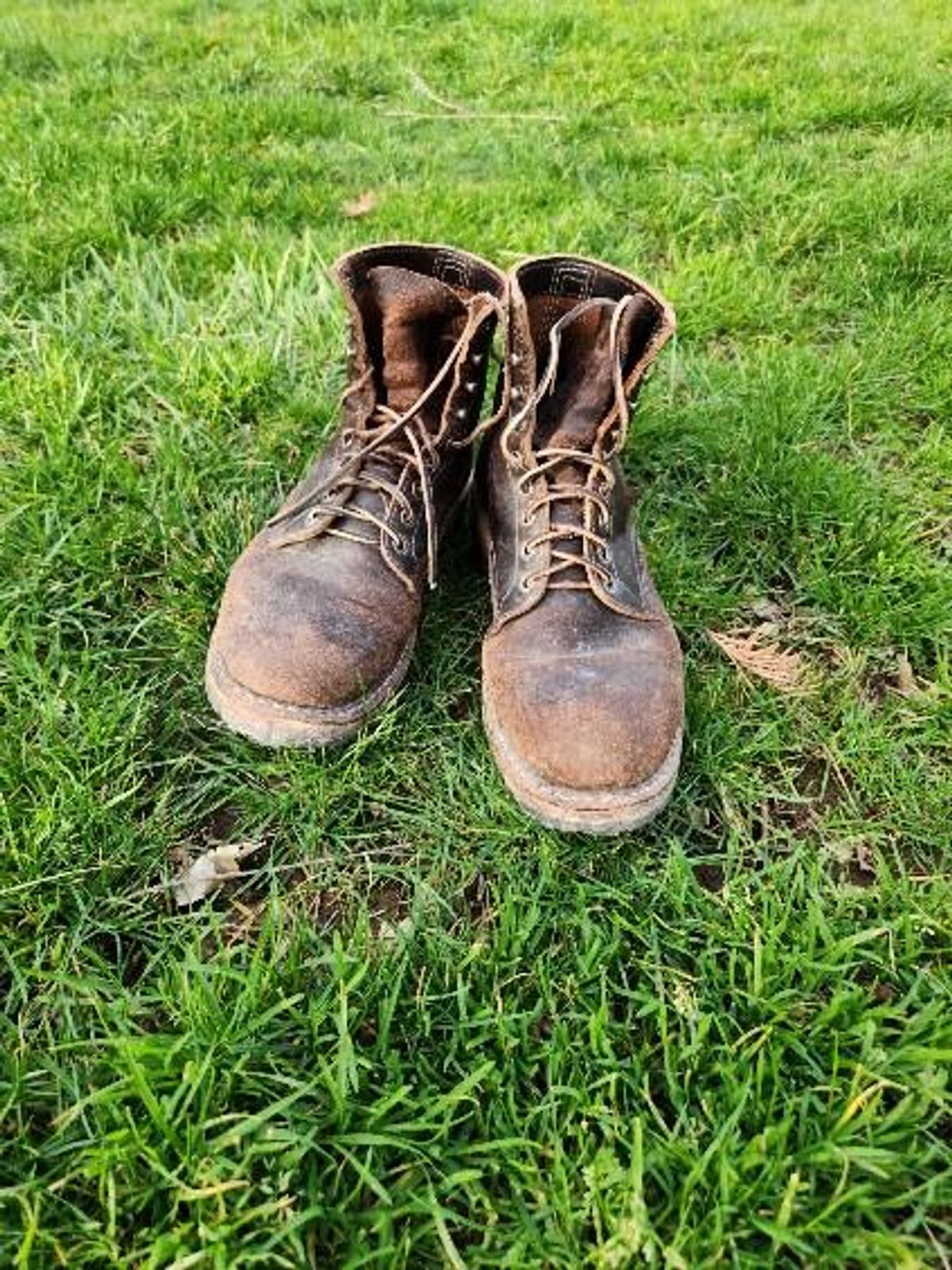 Photo by wildflowersnboots on March 5, 2025 of the White's MP 55 in Horween Dark Brown Waxed Flesh.