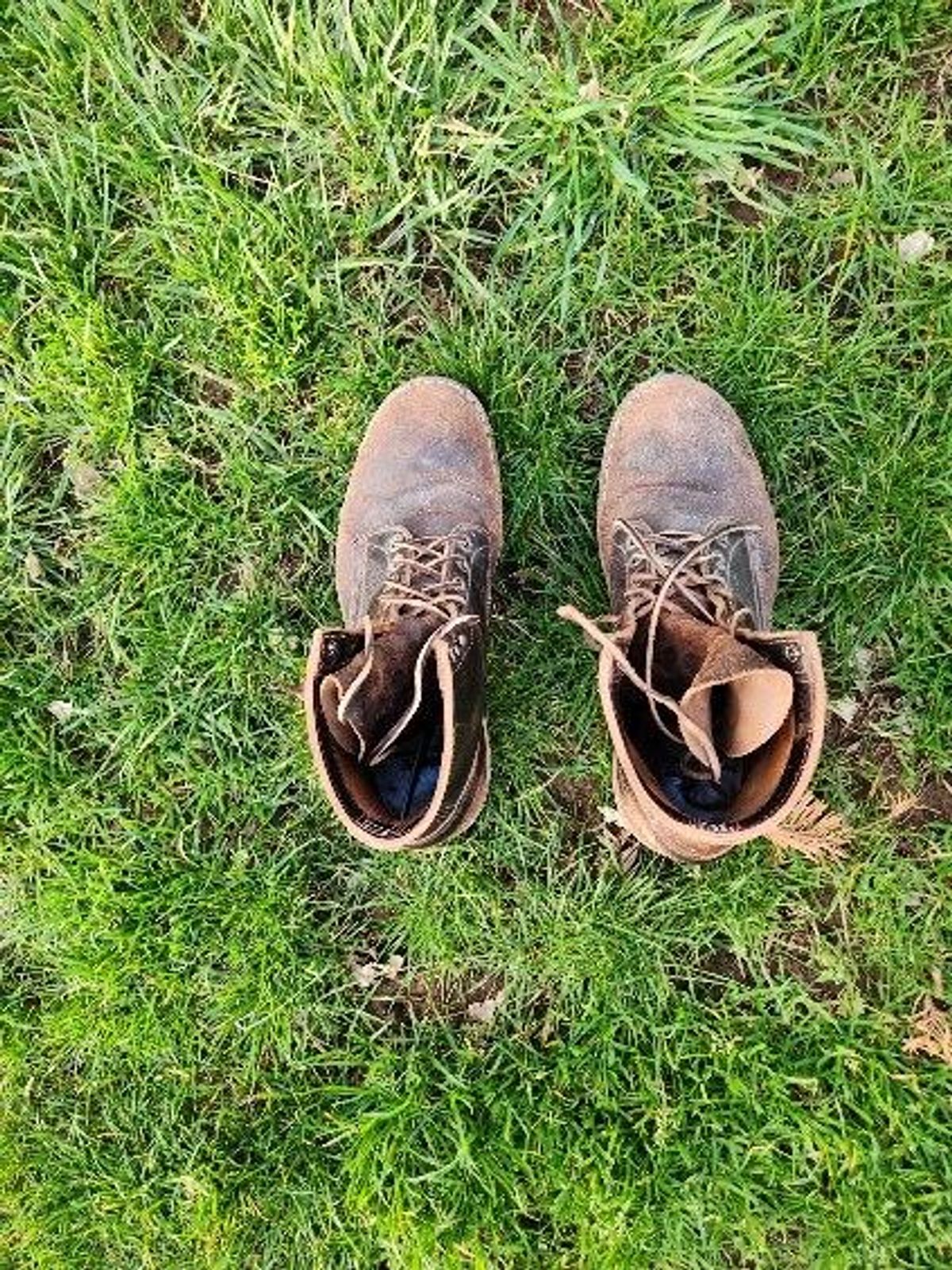 Photo by wildflowersnboots on March 5, 2025 of the White's MP 55 in Horween Dark Brown Waxed Flesh.