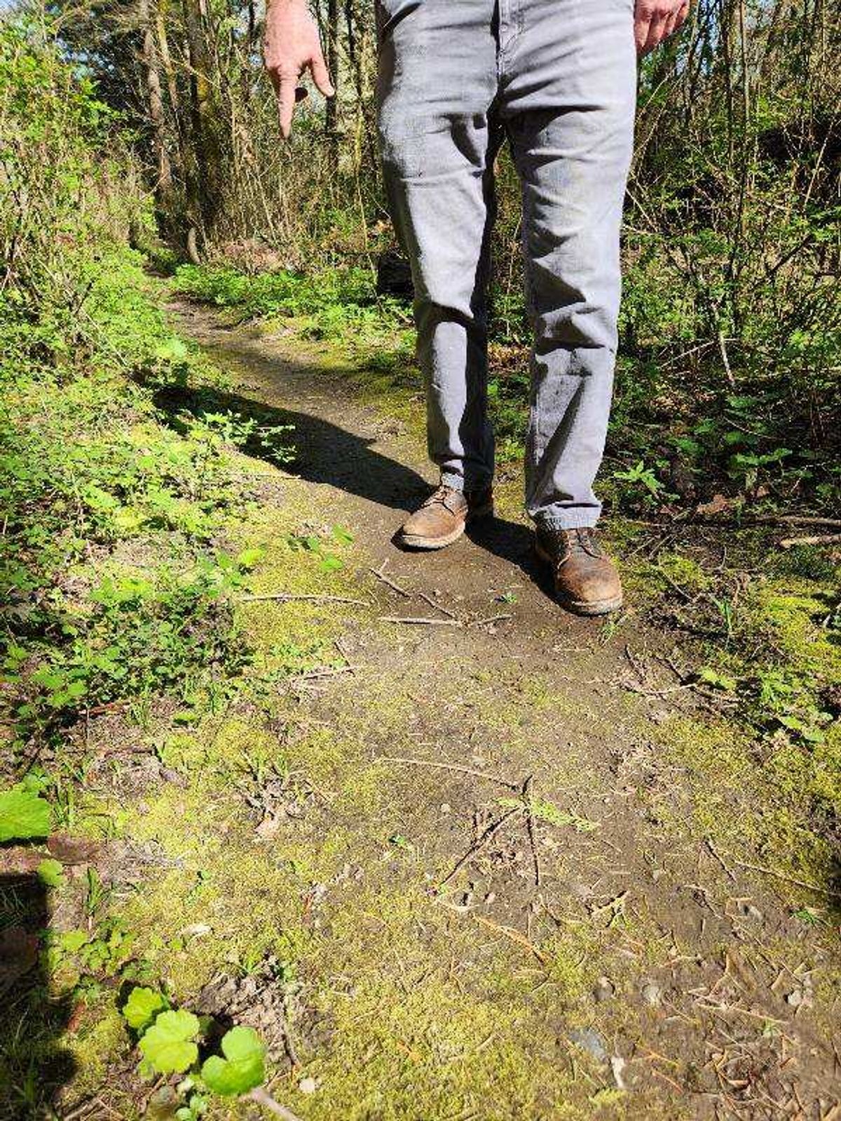 Photo by wildflowersnboots on April 5, 2025 of the White's MP 55 in Horween Dark Brown Waxed Flesh.