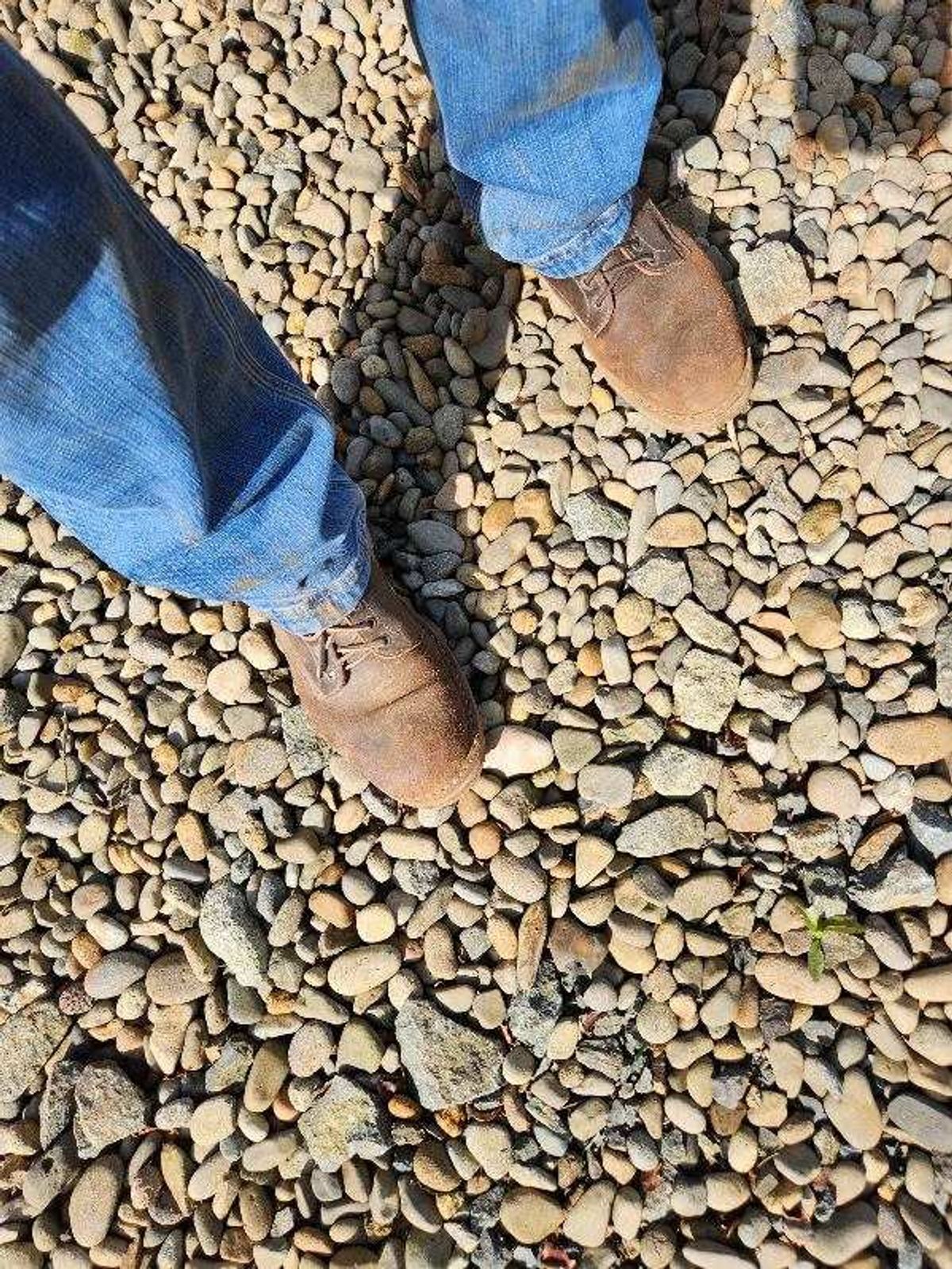 Photo by wildflowersnboots on April 5, 2025 of the White's MP 55 in Horween Dark Brown Waxed Flesh.