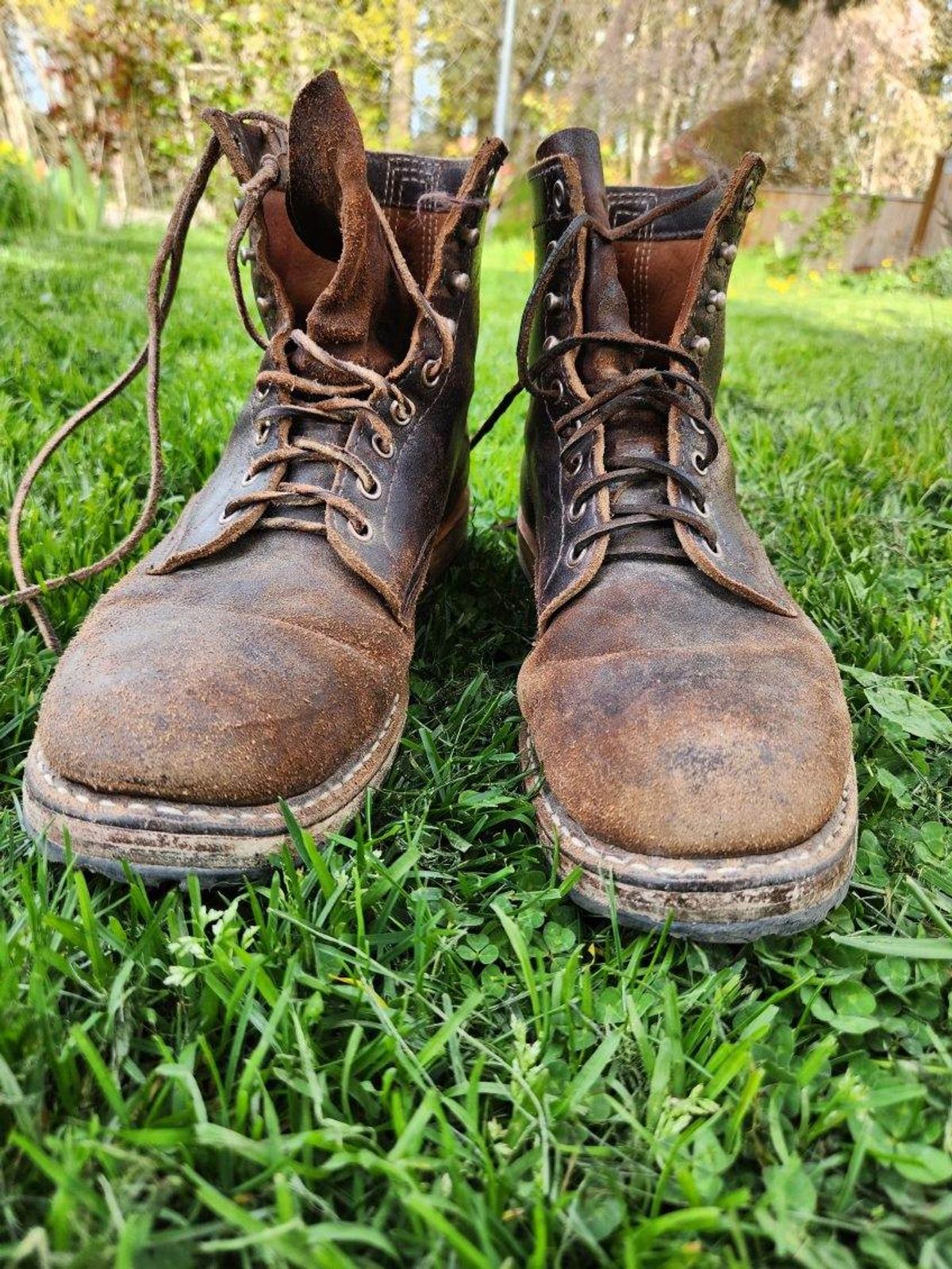 Photo by wildflowersnboots on April 6, 2025 of the White's MP 55 in Horween Dark Brown Waxed Flesh.