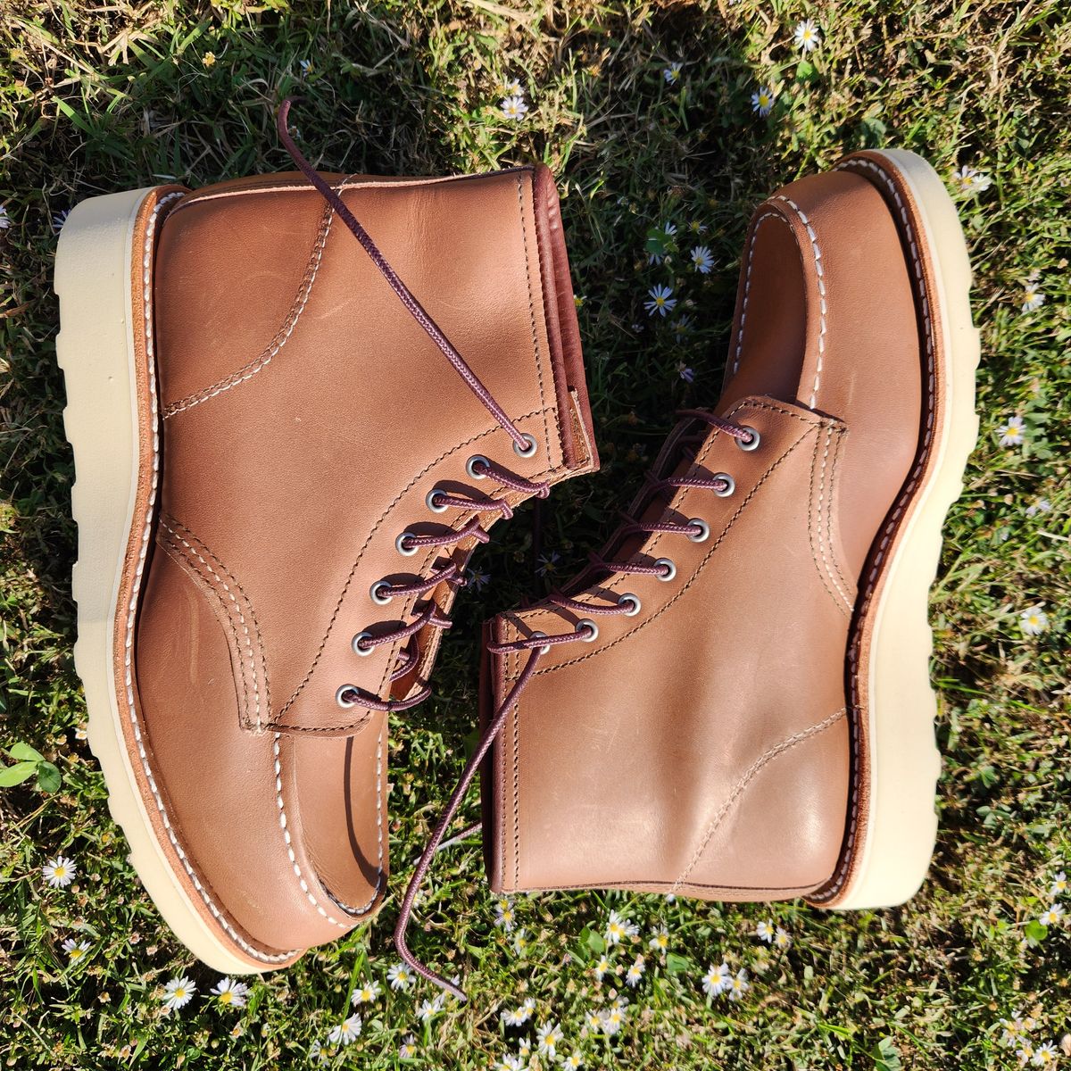 Photo by wildflowersnboots on October 3, 2025 of the Red Wing 6-Inch Classic Moc in Mocha Oro Iginal.
