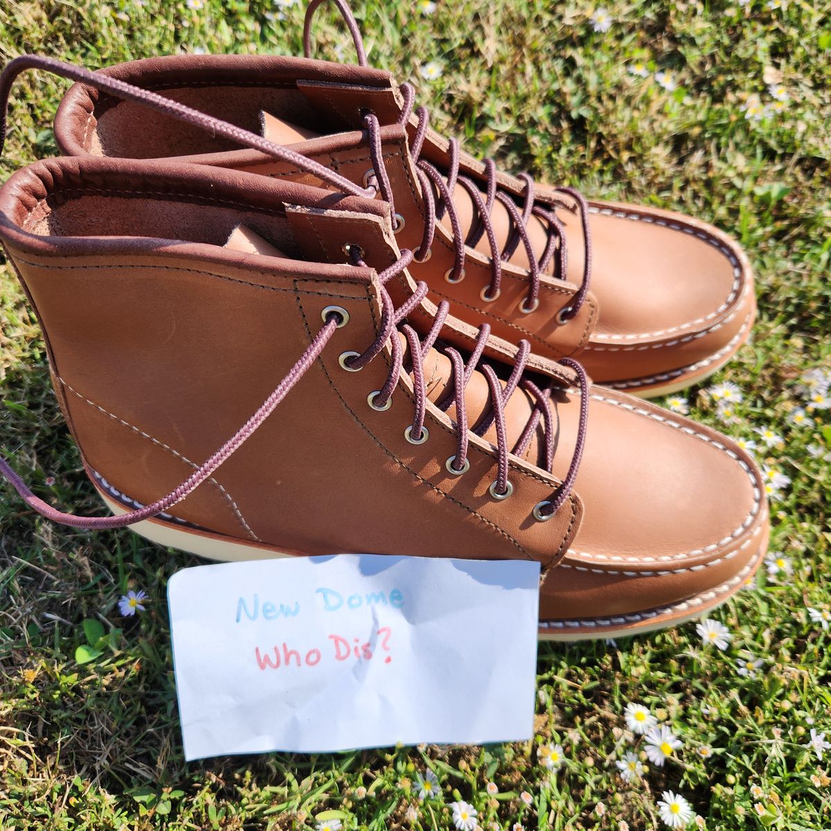 Photo by wildflowersnboots on October 3, 2025 of the Red Wing 6-Inch Classic Moc in Mocha Oro Iginal.