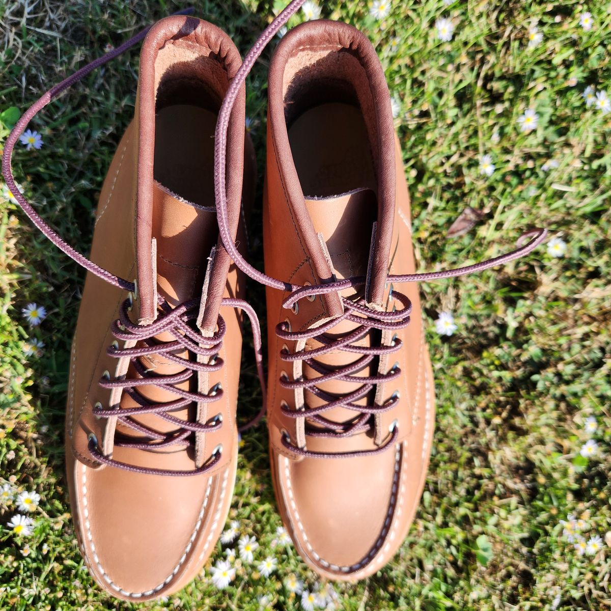 Photo by wildflowersnboots on October 3, 2025 of the Red Wing 6-Inch Classic Moc in Mocha Oro Iginal.
