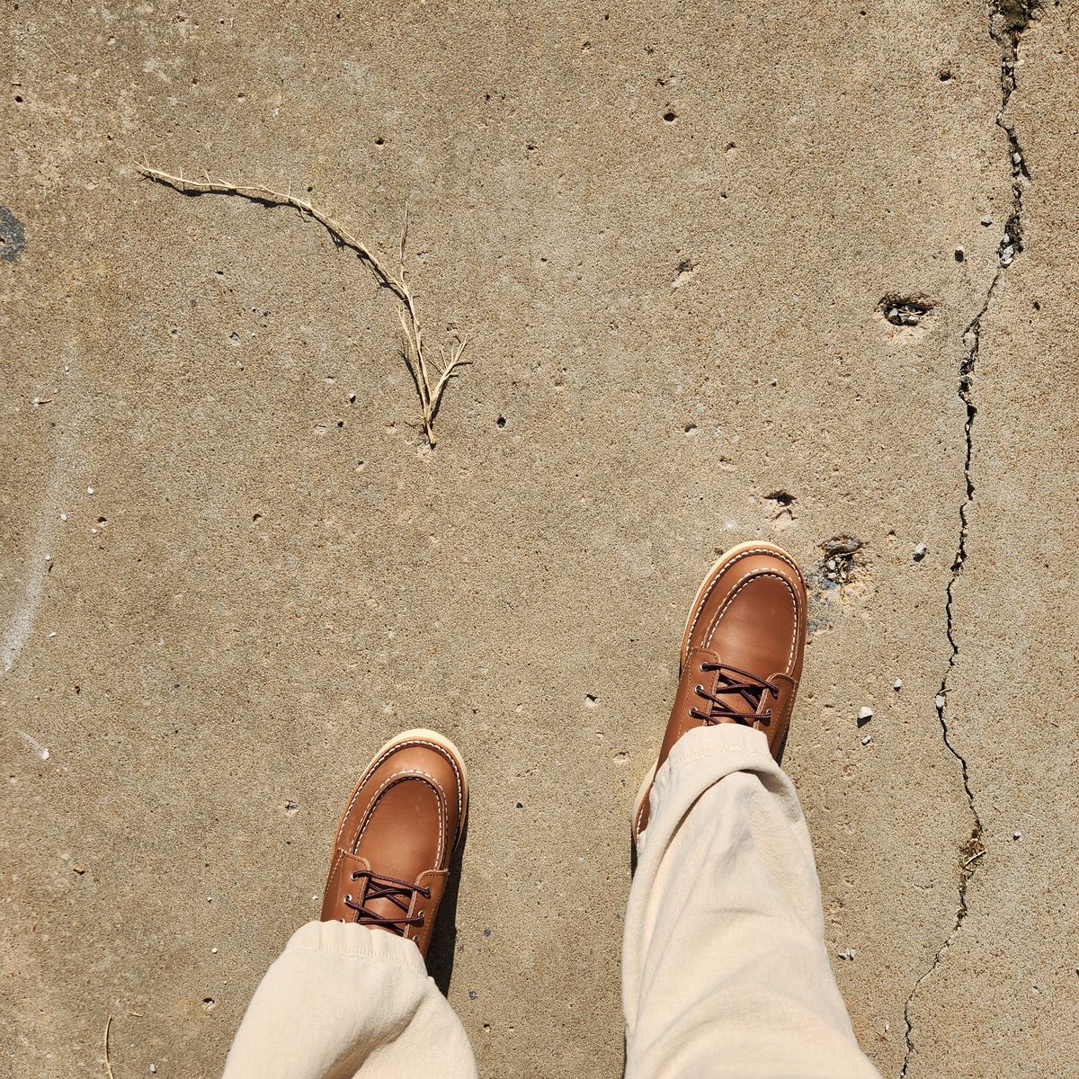 Photo by wildflowersnboots on October 3, 2025 of the Red Wing 6-Inch Classic Moc in Mocha Oro Iginal.