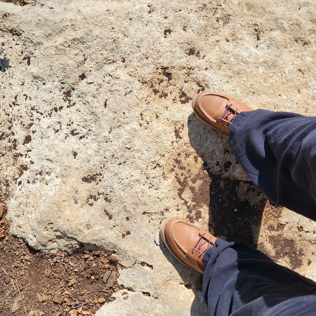 Photo by wildflowersnboots on October 12, 2025 of the Red Wing 6-Inch Classic Moc in Mocha Oro Iginal.