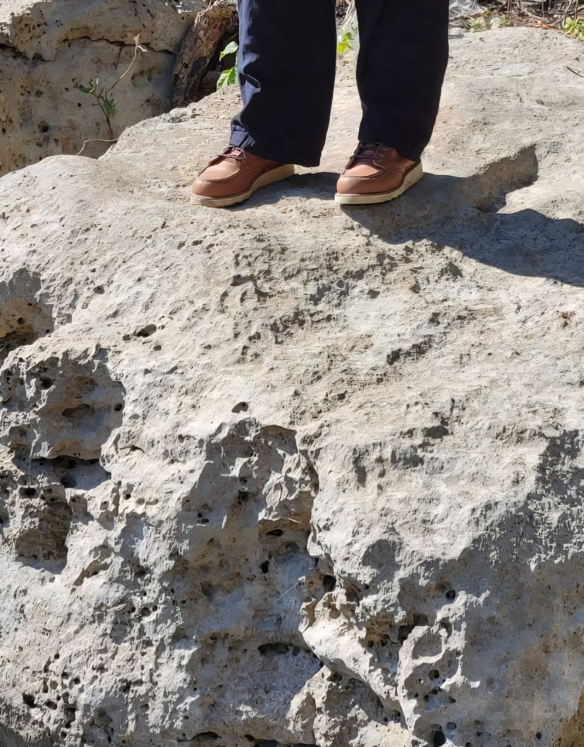 Photo by wildflowersnboots on October 12, 2025 of the Red Wing 6-Inch Classic Moc in Mocha Oro Iginal.