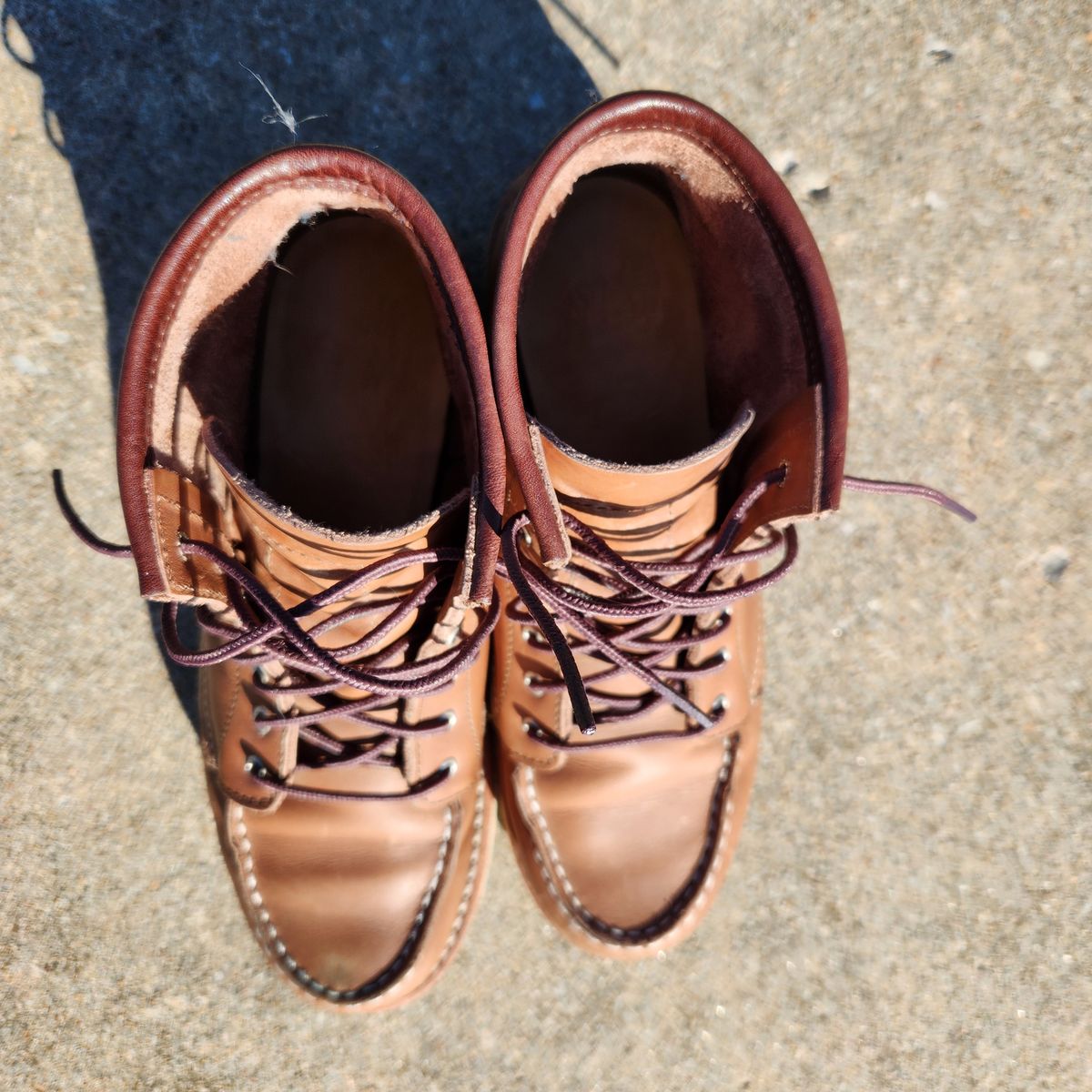 Photo by wildflowersnboots on November 3, 2025 of the Red Wing 6-Inch Classic Moc in Mocha Oro Iginal.