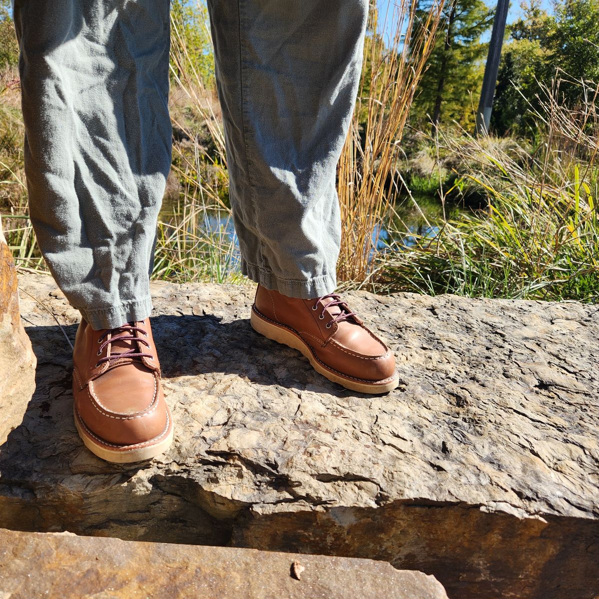 Photo by wildflowersnboots on November 3, 2025 of the Red Wing 6-Inch Classic Moc in Mocha Oro Iginal.