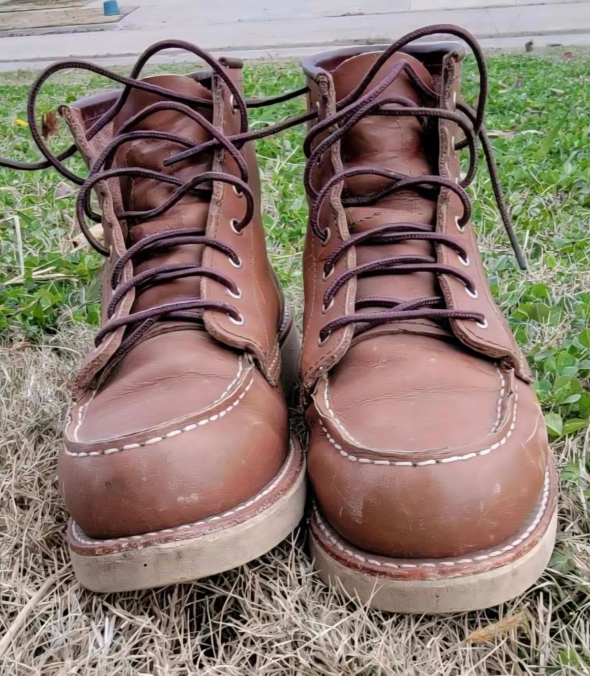 Photo by wildflowersnboots on December 4, 2025 of the Red Wing 6-Inch Classic Moc in Mocha Oro Iginal.