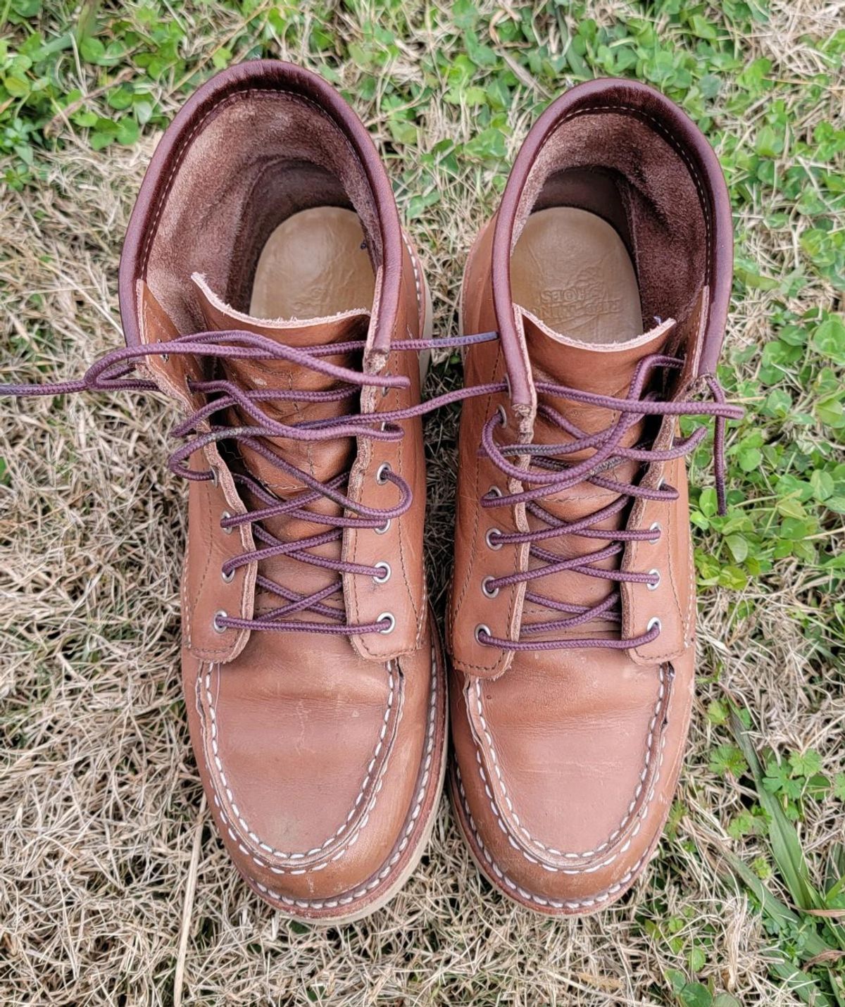 Photo by wildflowersnboots on December 4, 2025 of the Red Wing 6-Inch Classic Moc in Mocha Oro Iginal.