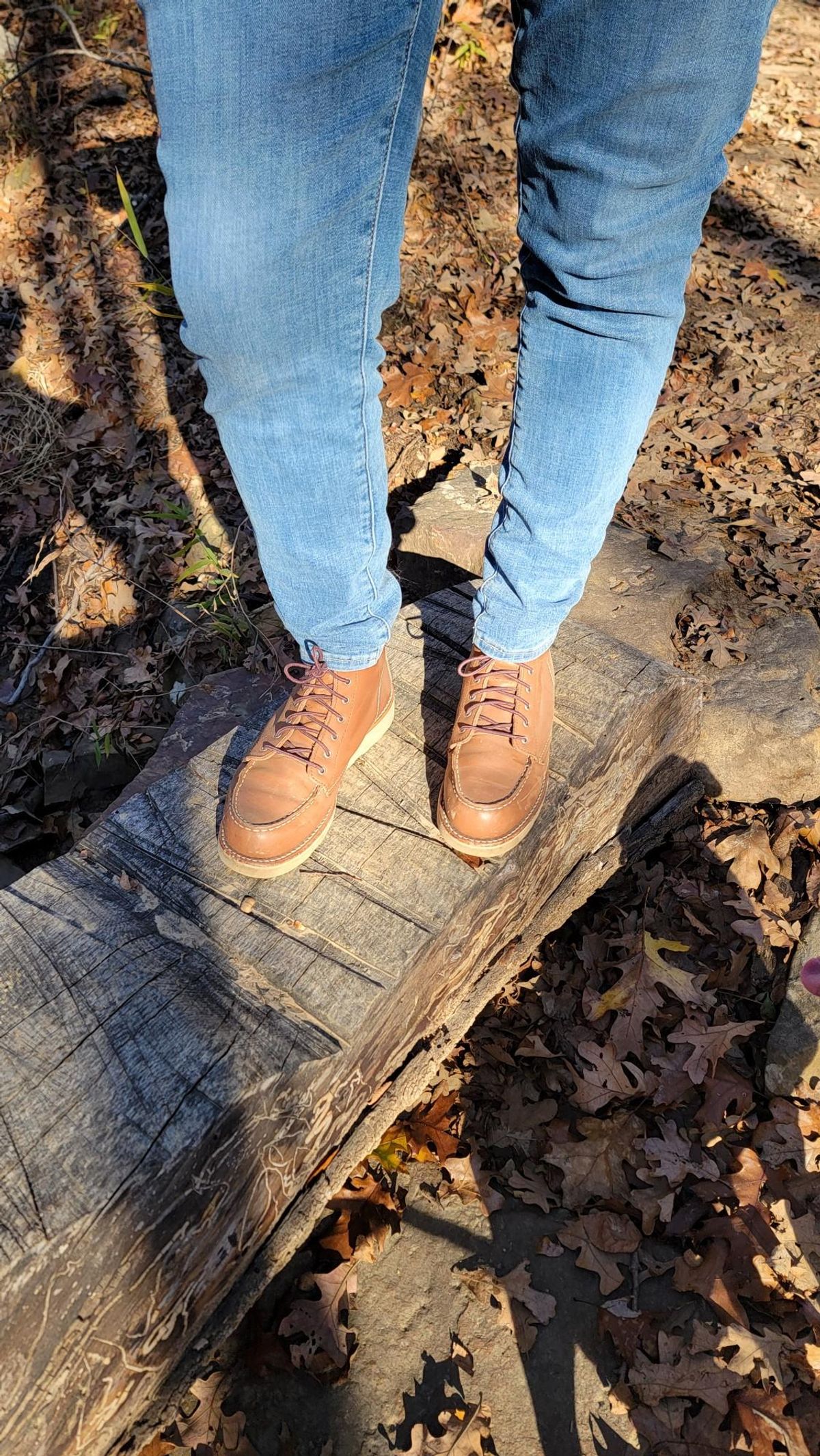 Photo by wildflowersnboots on November 27, 2025 of the Red Wing 6-Inch Classic Moc in Mocha Oro Iginal.