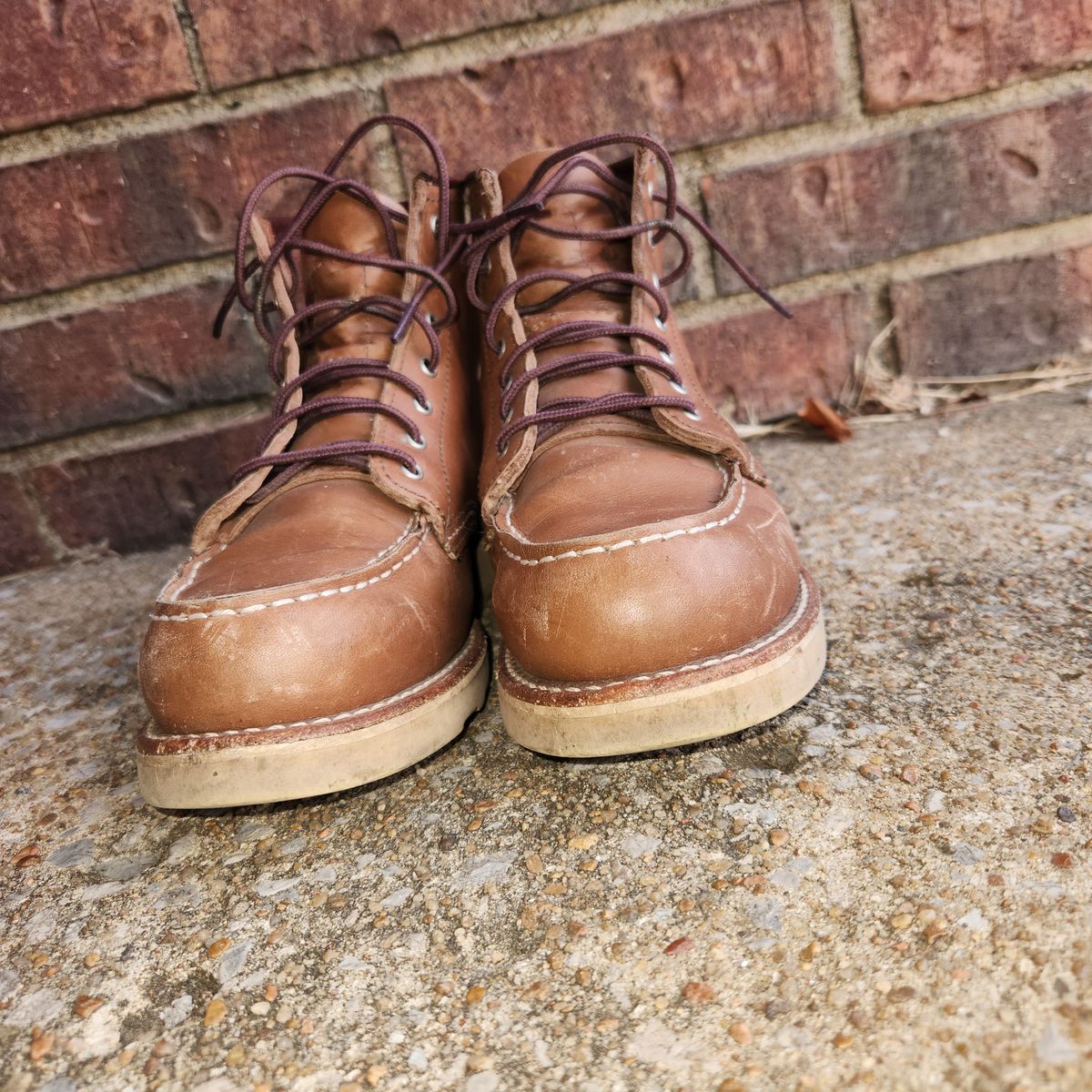 Photo by wildflowersnboots on January 5, 2026 of the Red Wing 6-Inch Classic Moc in Mocha Oro Iginal.