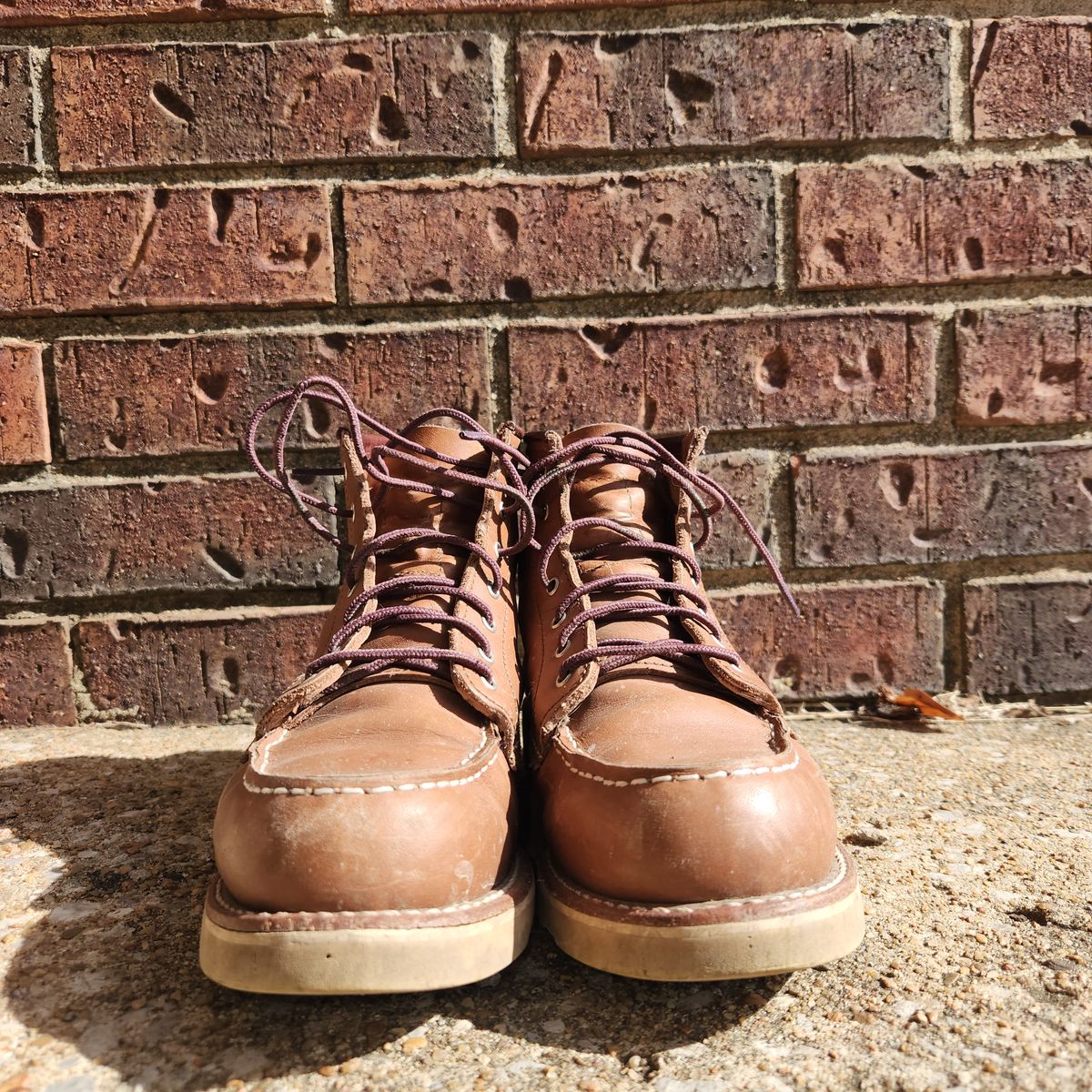 Photo by wildflowersnboots on February 5, 2026 of the Red Wing 6-Inch Classic Moc in Mocha Oro Iginal.