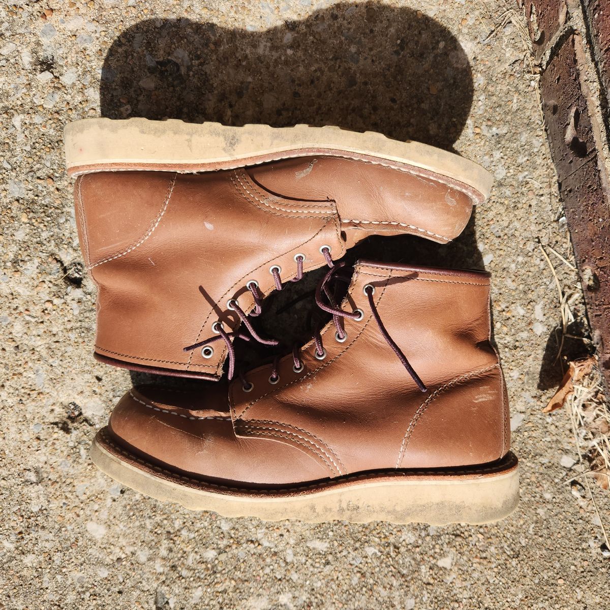 Photo by wildflowersnboots on February 5, 2026 of the Red Wing 6-Inch Classic Moc in Mocha Oro Iginal.