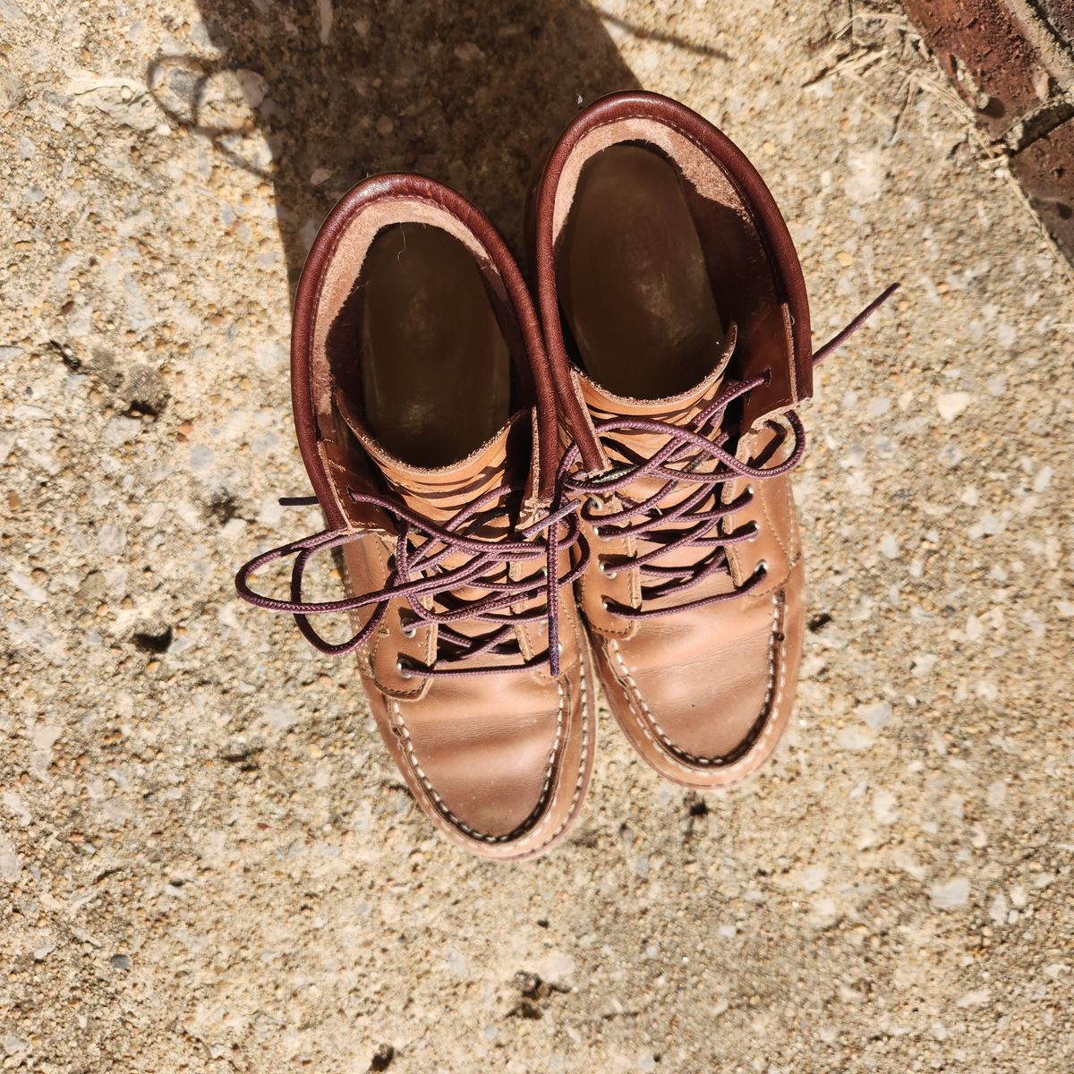 Photo by wildflowersnboots on February 5, 2026 of the Red Wing 6-Inch Classic Moc in Mocha Oro Iginal.
