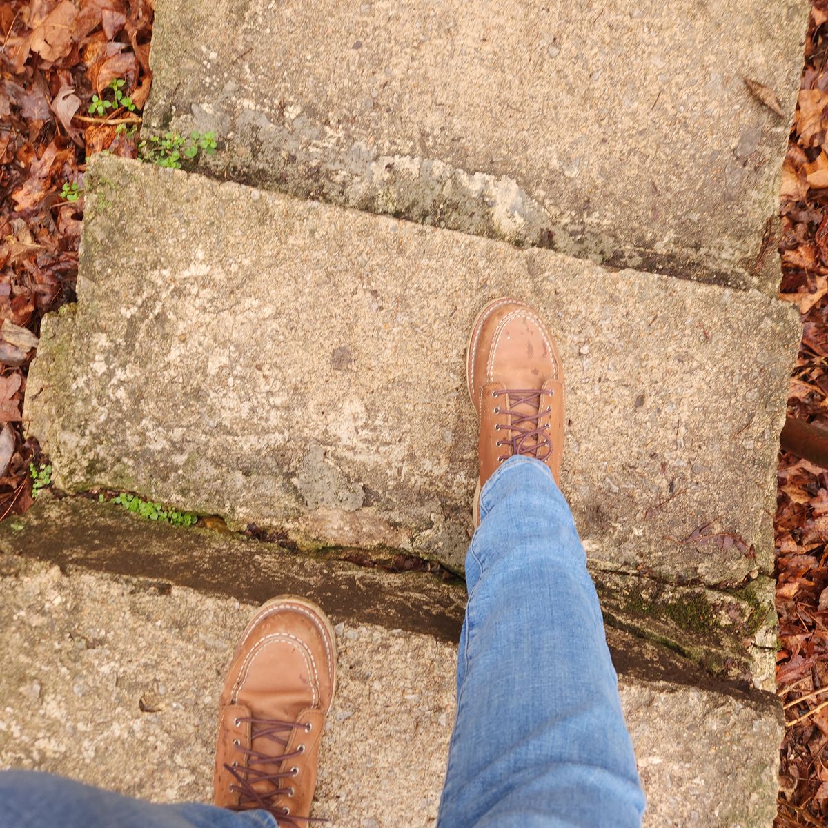 Photo by wildflowersnboots on February 14, 2026 of the Red Wing 6-Inch Classic Moc in Mocha Oro Iginal.