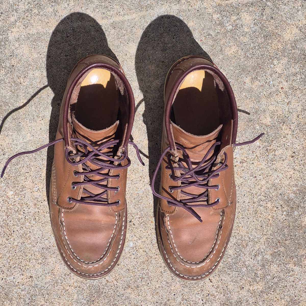 Photo by wildflowersnboots on April 4, 2026 of the Red Wing 6-Inch Classic Moc in Mocha Oro Iginal.