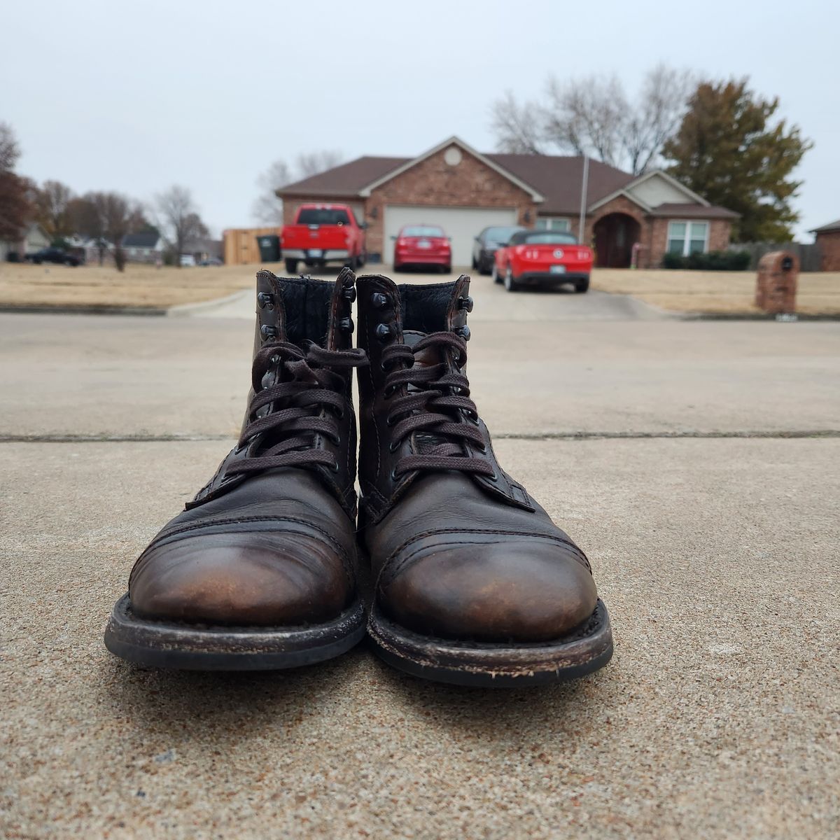 Photo by wildflowersnboots on December 5, 2022 of the Thursday Captain in Black Coffee Hand-Finished Full Grain.