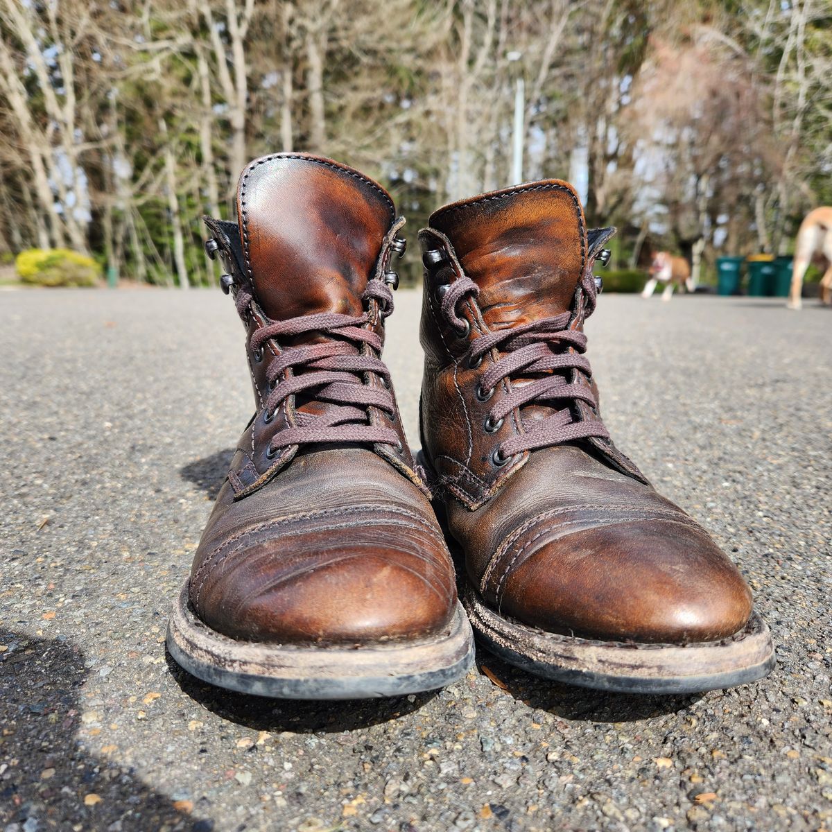 Photo by wildflowersnboots on April 5, 2023 of the Thursday Captain in Black Coffee Hand-Finished Full Grain.