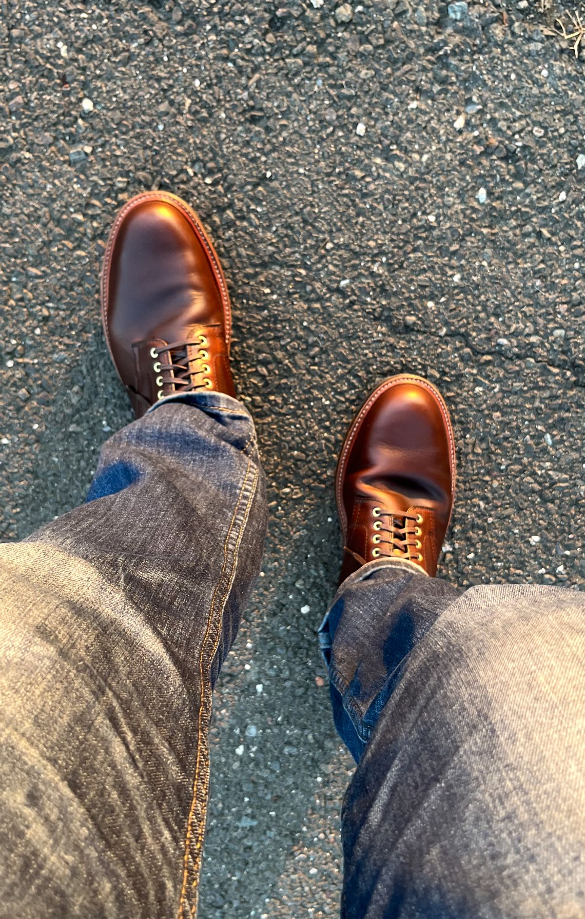 Photo by shoemageddon on October 3, 2024 of the Alden Plain Toe Boot in Horween Brown Chromexcel.