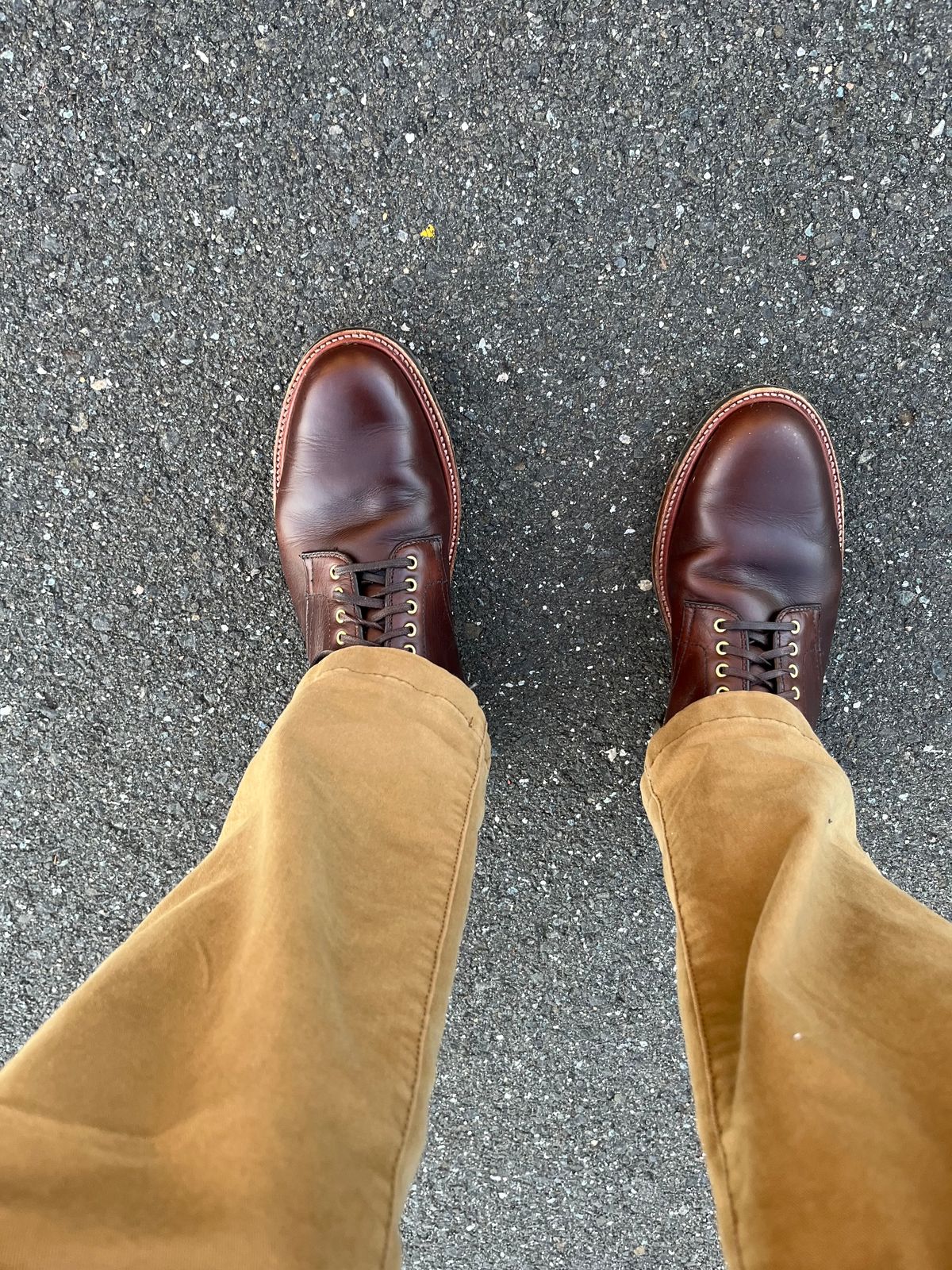 Photo by shoemageddon on October 11, 2024 of the Alden Plain Toe Boot in Horween Brown Chromexcel.