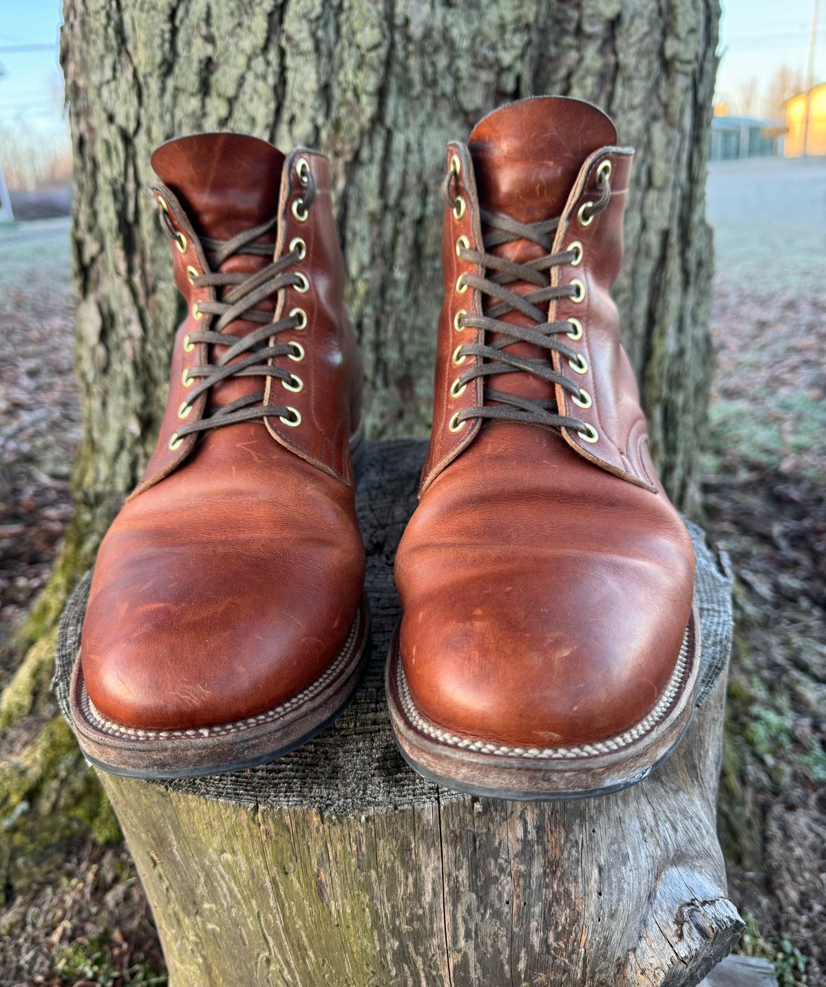 Photo by demko on February 4, 2024 of the Viberg Service Boot in Horween English Tan Cypress.