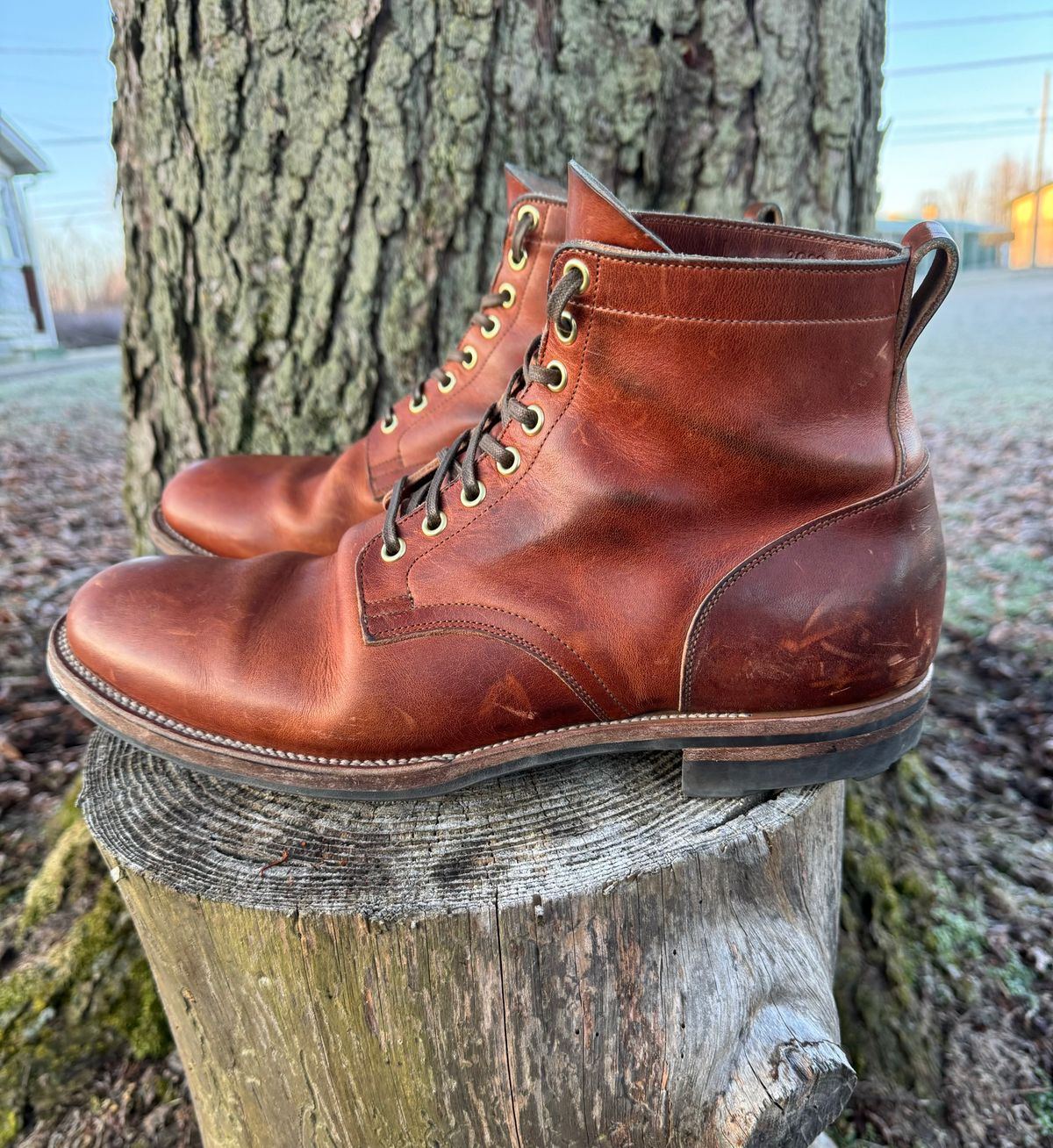 Photo by demko on February 4, 2024 of the Viberg Service Boot in Horween English Tan Cypress.