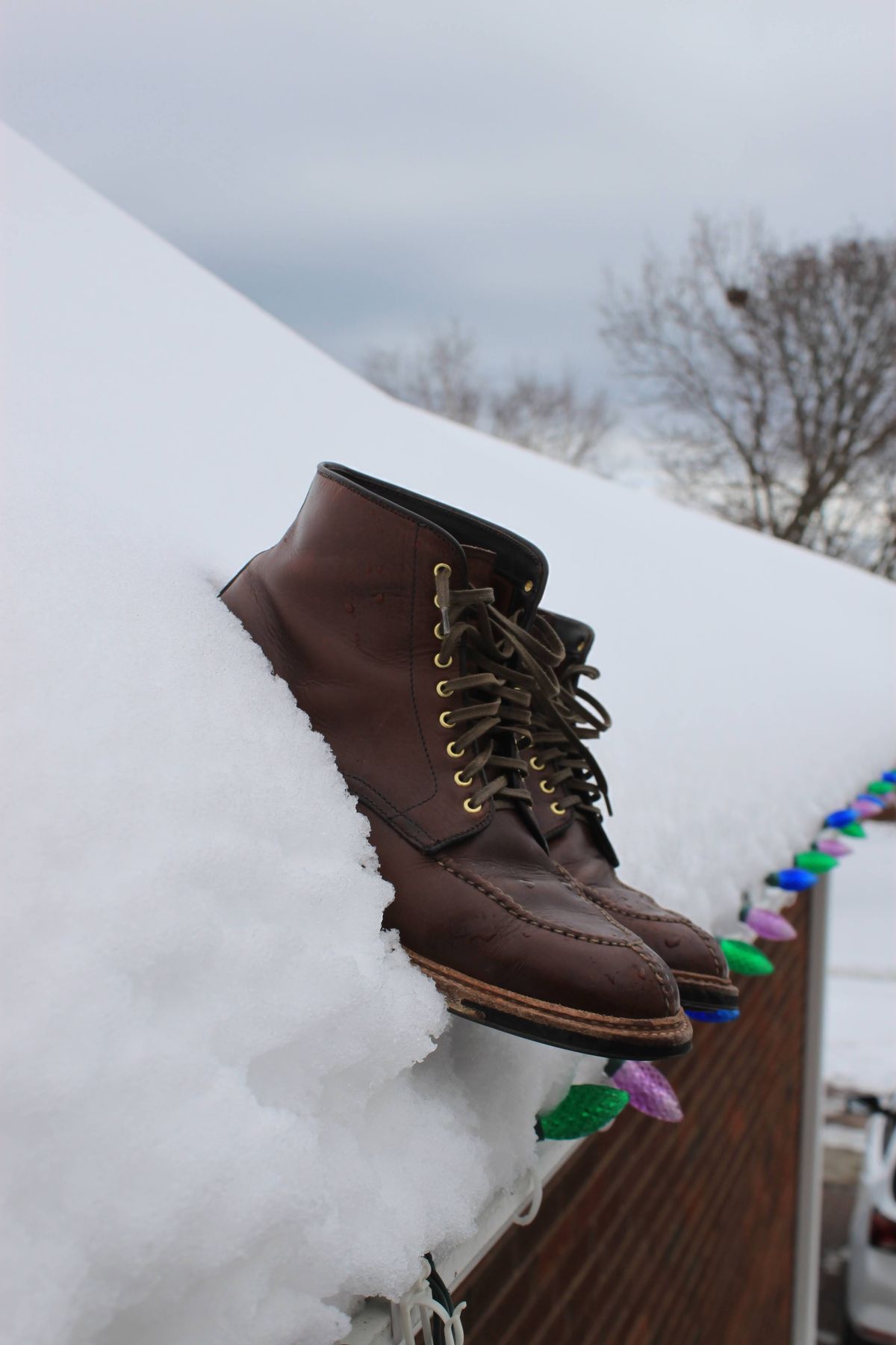 Photo by djsharris on March 4, 2023 of the Alden Norwegian Front Blucher in Horween Brown Chromexcel.