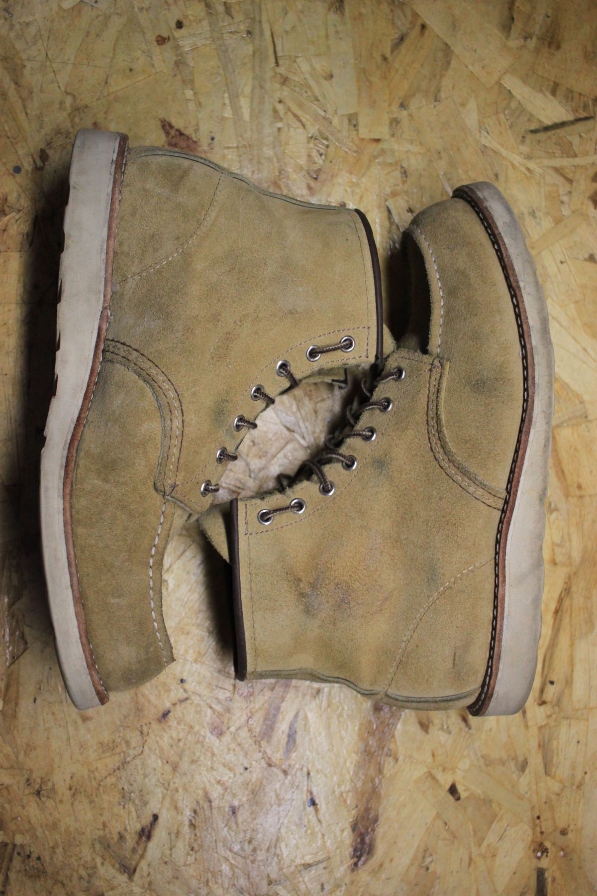 Photo by djsharris on November 2, 2023 of the Red Wing 6-Inch Classic Moc in S.B. Foot Hawthorne Abilene.