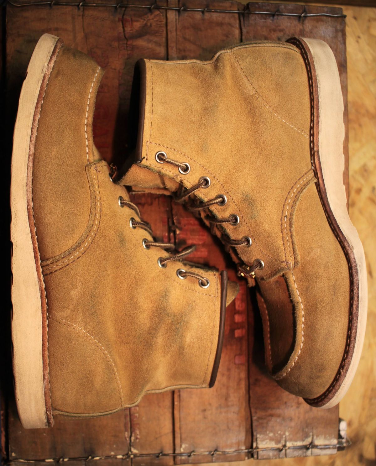 Photo by djsharris on February 6, 2024 of the Red Wing 6-Inch Classic Moc in S.B. Foot Hawthorne Abilene.