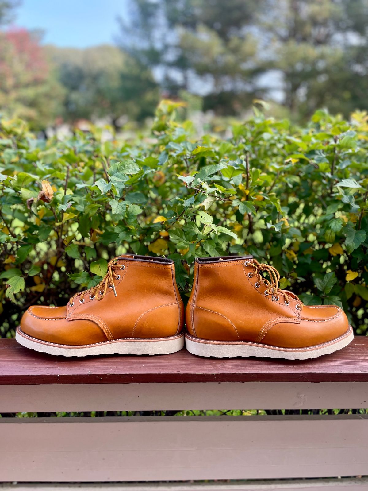 Photo by surcos on October 1, 2023 of the Irish Setter 6-Inch Classic Moc in Gold Russet Sequoia.