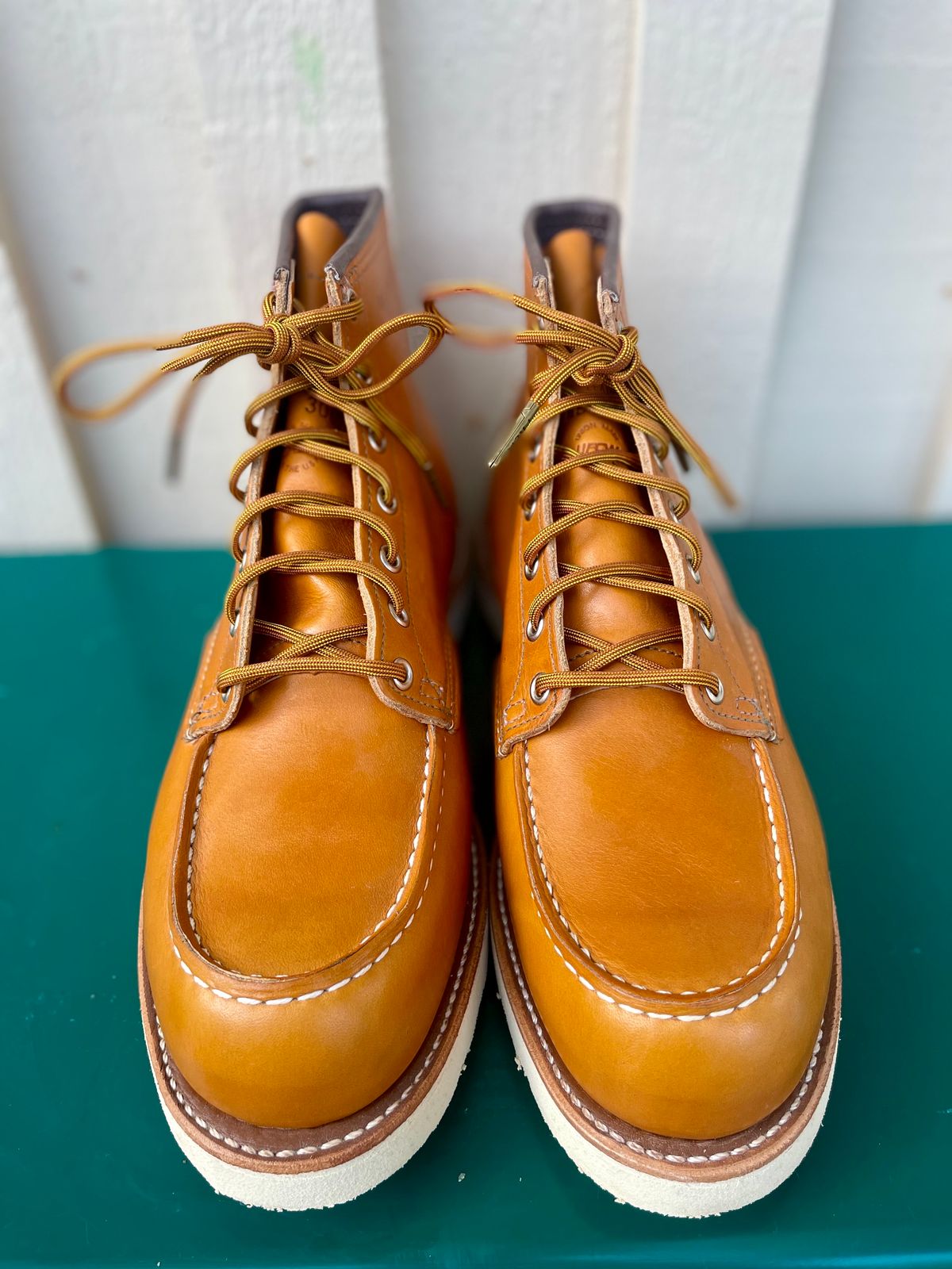 Photo by surcos on October 1, 2023 of the Irish Setter 6-Inch Classic Moc in Gold Russet Sequoia.