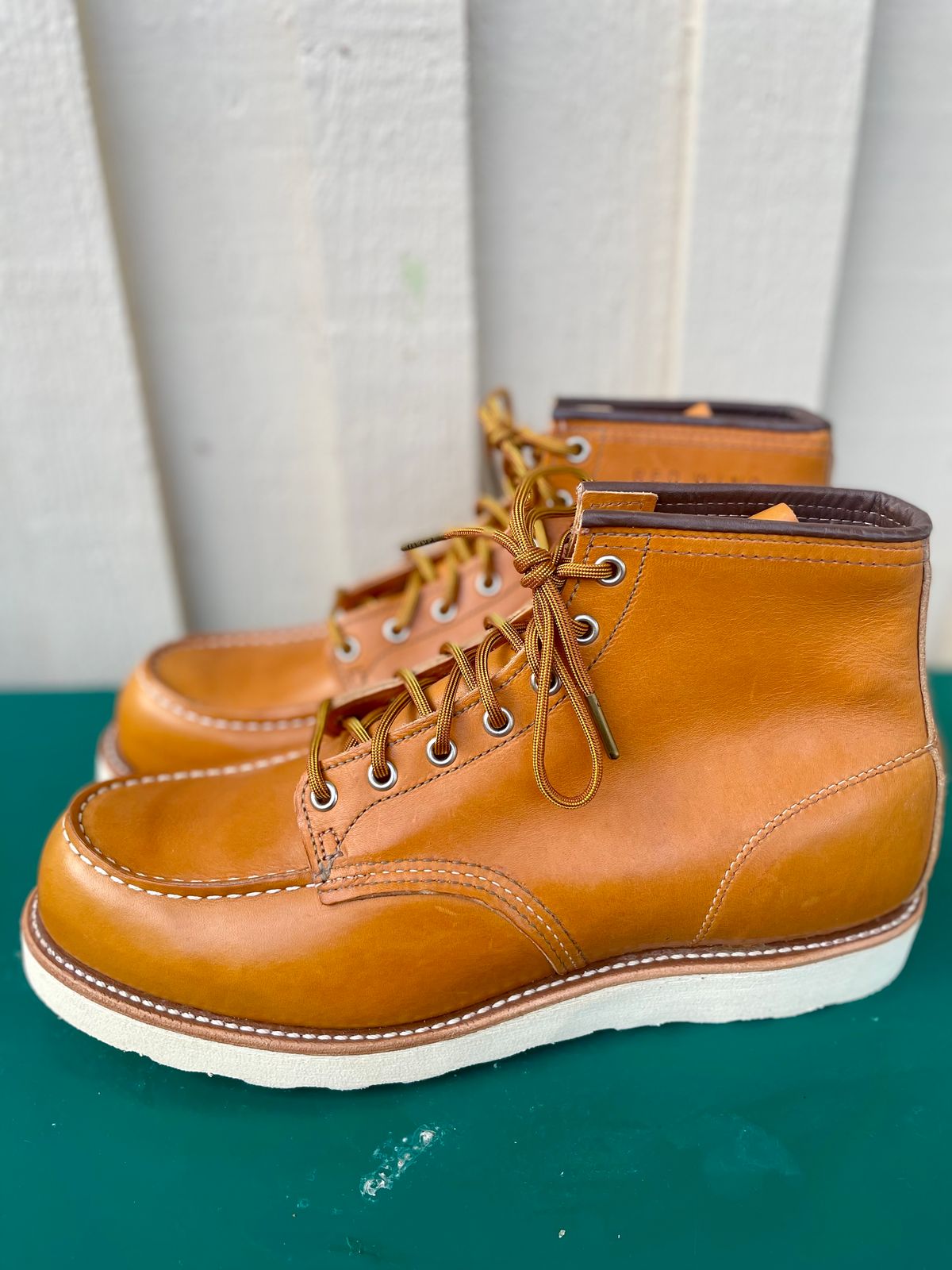 Photo by surcos on October 1, 2023 of the Irish Setter 6-Inch Classic Moc in Gold Russet Sequoia.