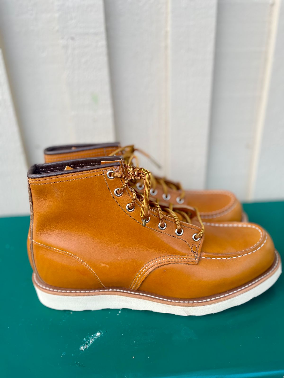 Photo by surcos on October 1, 2023 of the Irish Setter 6-Inch Classic Moc in Gold Russet Sequoia.