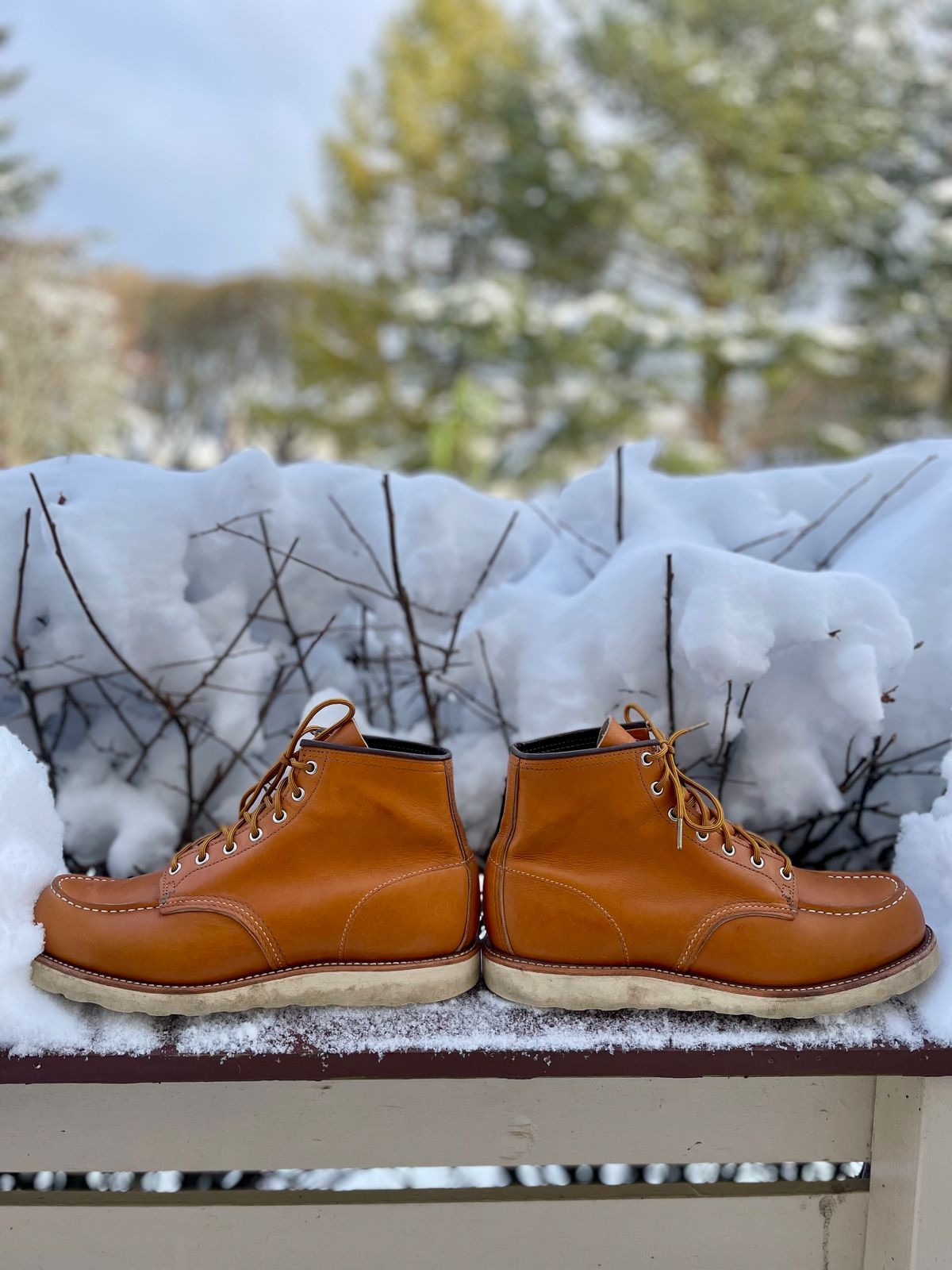 Photo by surcos on November 1, 2023 of the Irish Setter 6-Inch Classic Moc in Gold Russet Sequoia.