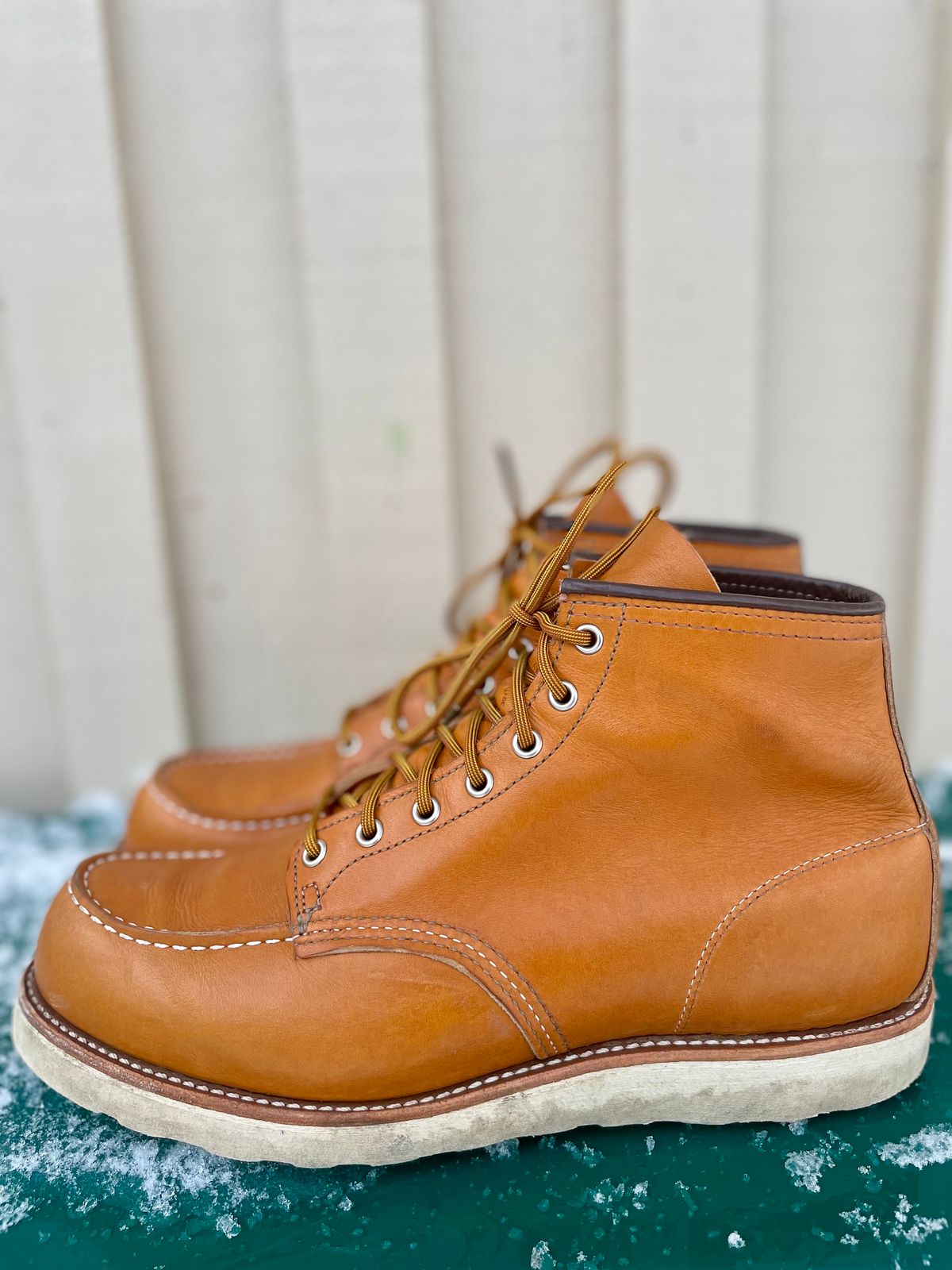 Photo by surcos on November 1, 2023 of the Irish Setter 6-Inch Classic Moc in Gold Russet Sequoia.
