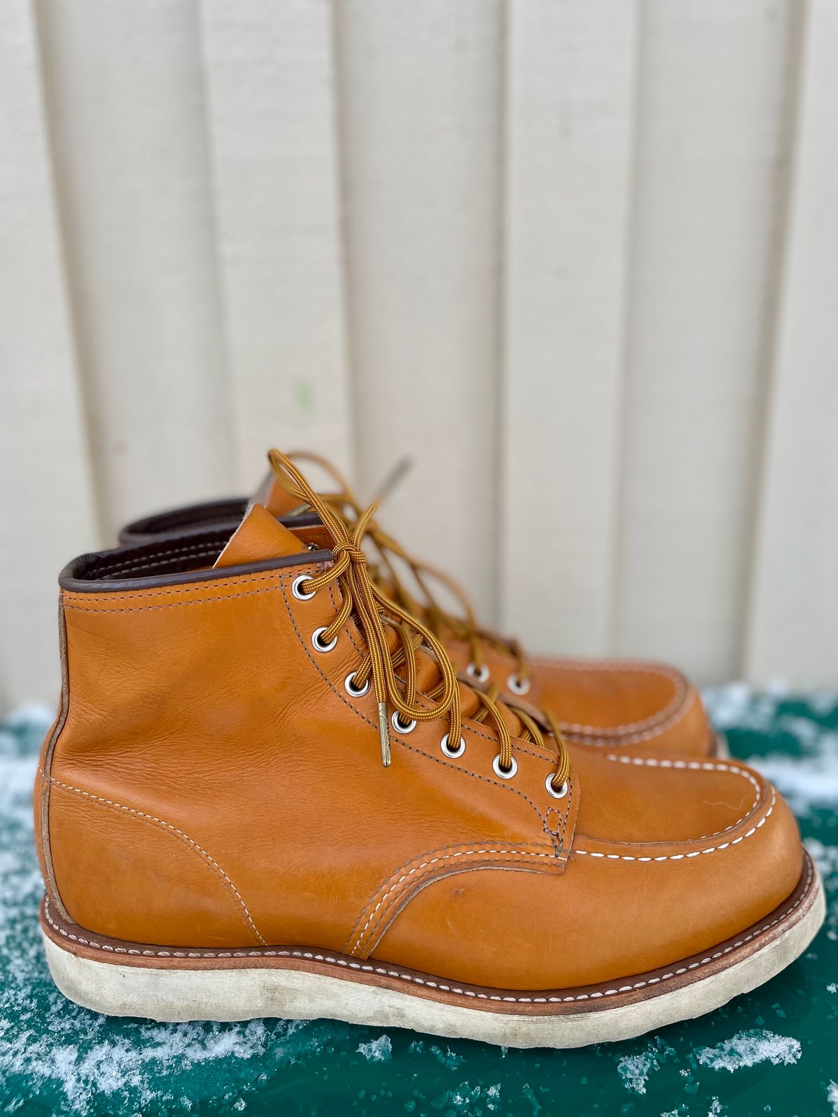 Photo by surcos on November 1, 2023 of the Irish Setter 6-Inch Classic Moc in Gold Russet Sequoia.