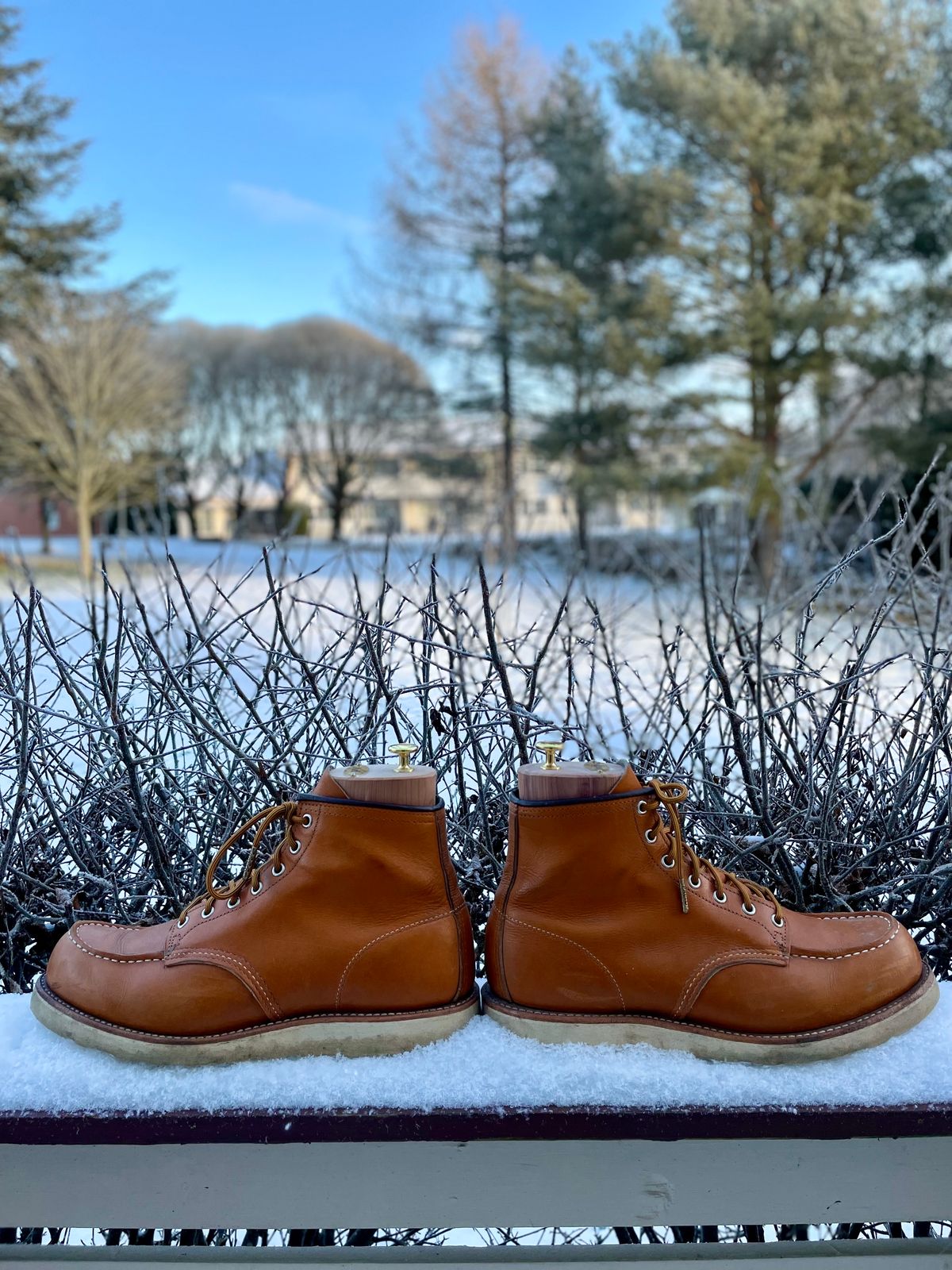 Photo by surcos on December 2, 2023 of the Irish Setter 6-Inch Classic Moc in Gold Russet Sequoia.