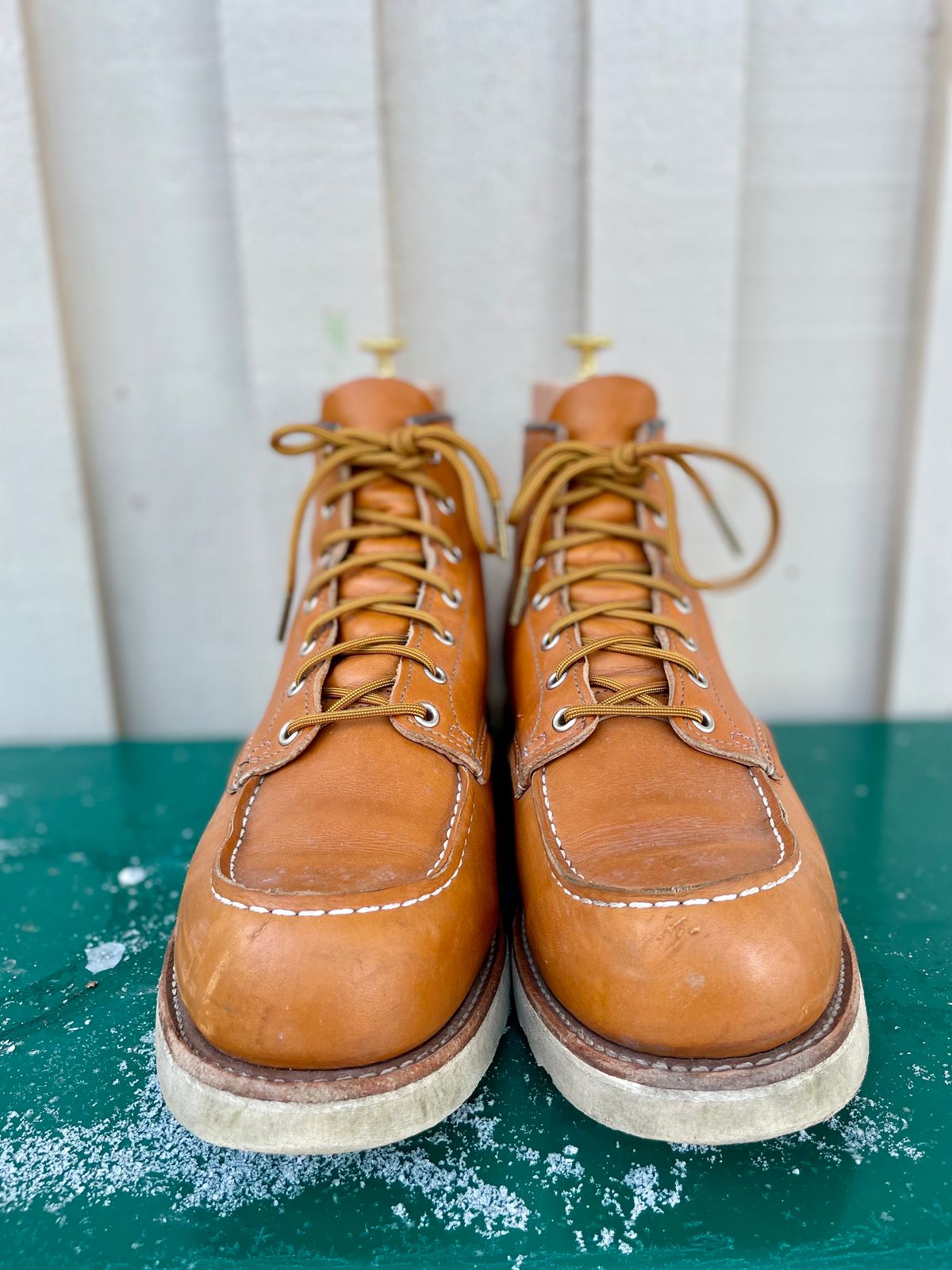 Photo by surcos on December 2, 2023 of the Irish Setter 6-Inch Classic Moc in Gold Russet Sequoia.