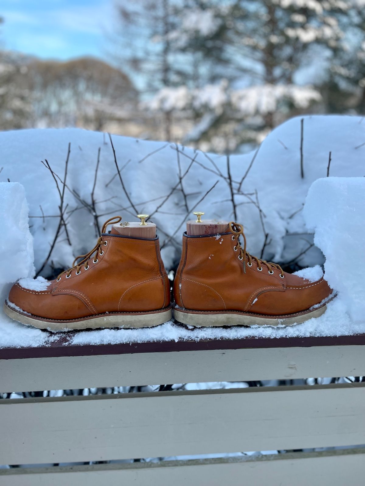 Photo by surcos on January 2, 2024 of the Irish Setter 6-Inch Classic Moc in Gold Russet Sequoia.