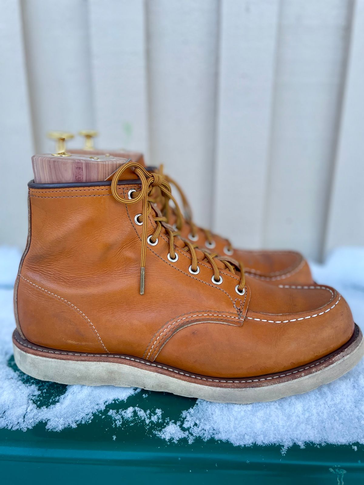 Photo by surcos on January 2, 2024 of the Irish Setter 6-Inch Classic Moc in Gold Russet Sequoia.