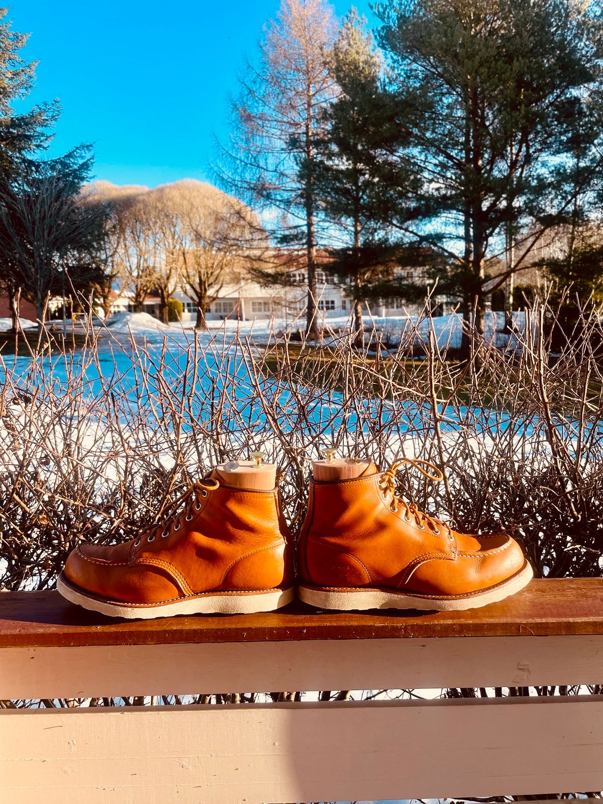 Photo by surcos on February 3, 2024 of the Irish Setter 6-Inch Classic Moc in Gold Russet Sequoia.