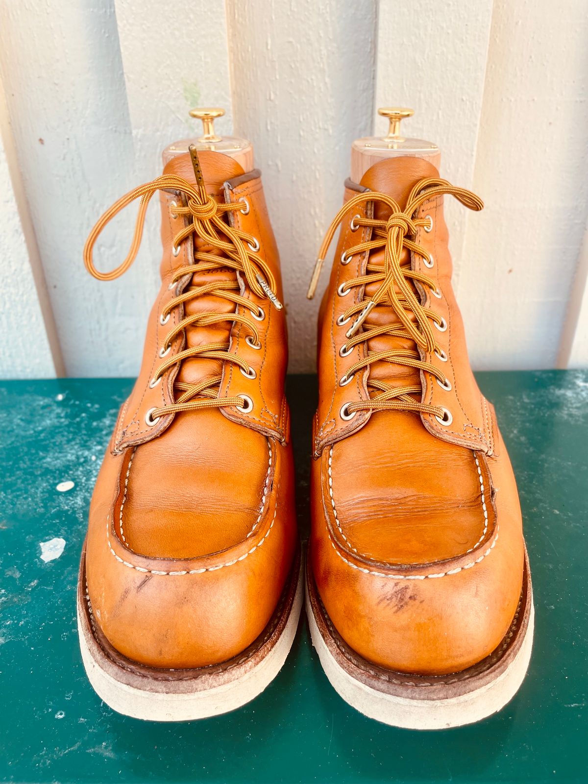 Photo by surcos on February 3, 2024 of the Irish Setter 6-Inch Classic Moc in Gold Russet Sequoia.