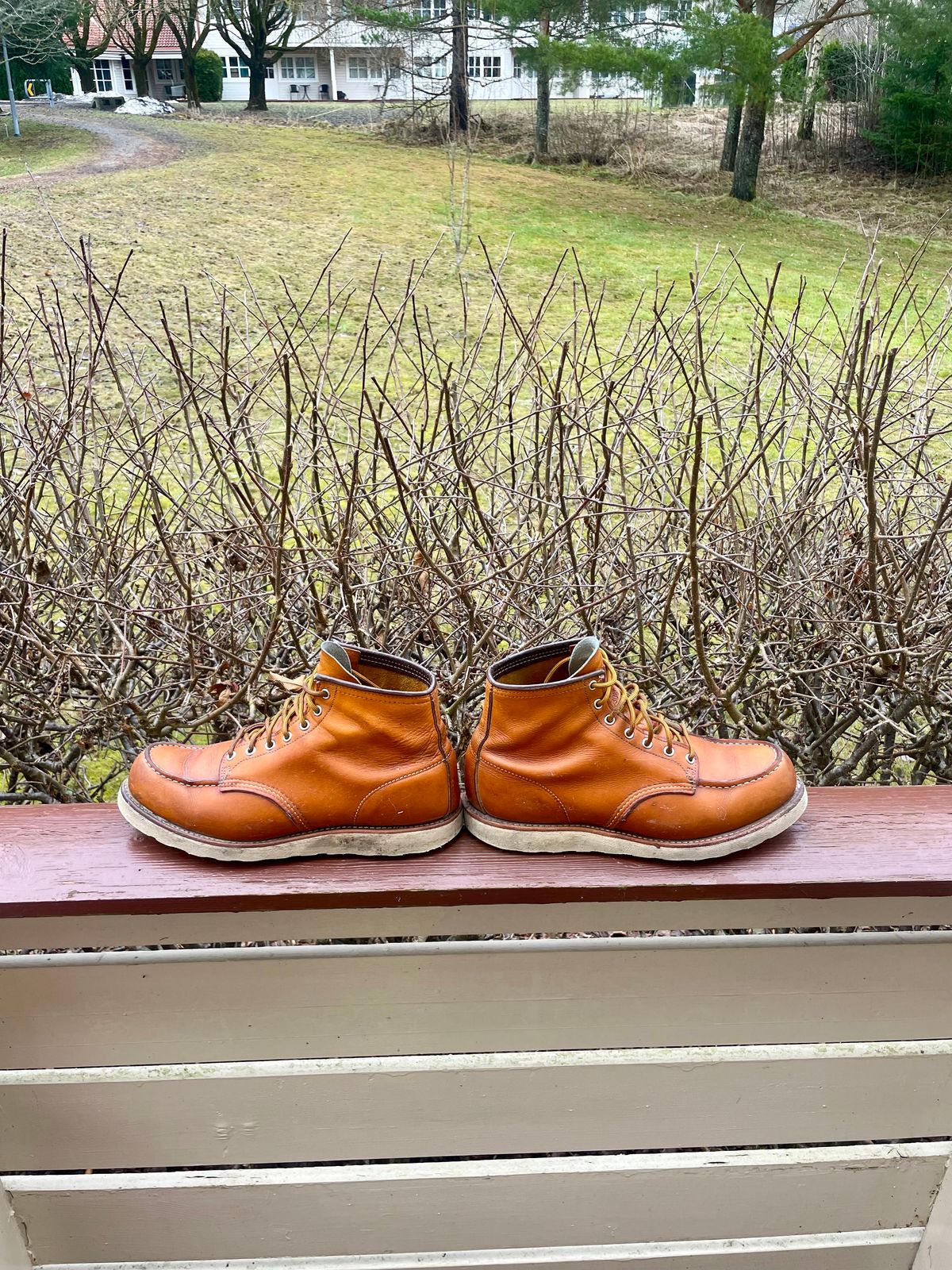 Photo by surcos on March 4, 2024 of the Irish Setter 6-Inch Classic Moc in Gold Russet Sequoia.